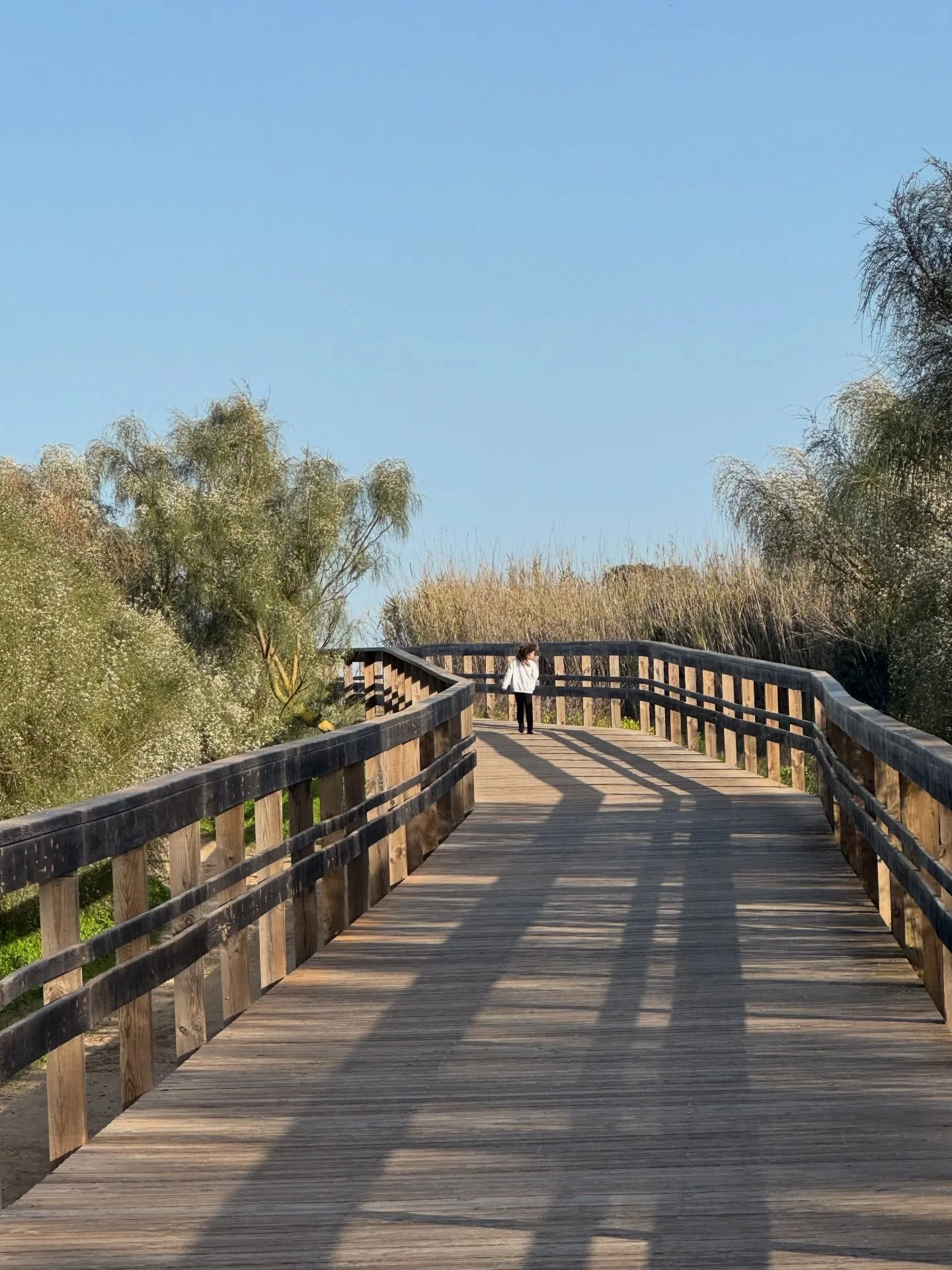 Seit kurzer Zeit sind wir in Portugal! Gemeinsam mit vielen anderen Reisefamilien aus aller Welt. 

Unterschiedliche Sprachen, viele verschiedene Hintergr&uuml;nde &ndash; und trotzdem sofort eine Verbindung.

Gemeinsam waren wir auf einer Bird-Watch