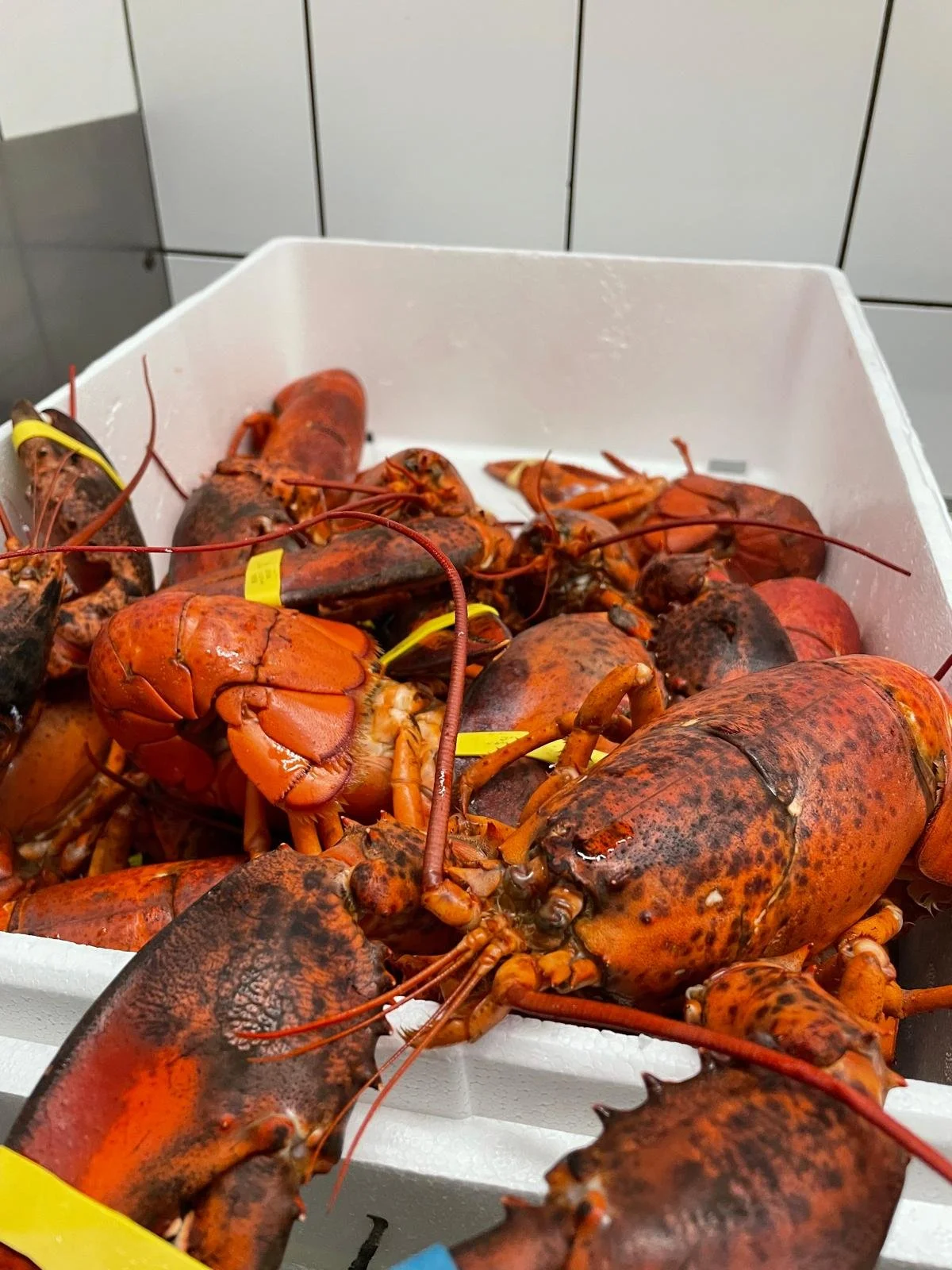 WhatsApp Image 2025-06-05 at 12.08.55 (1).jpeg