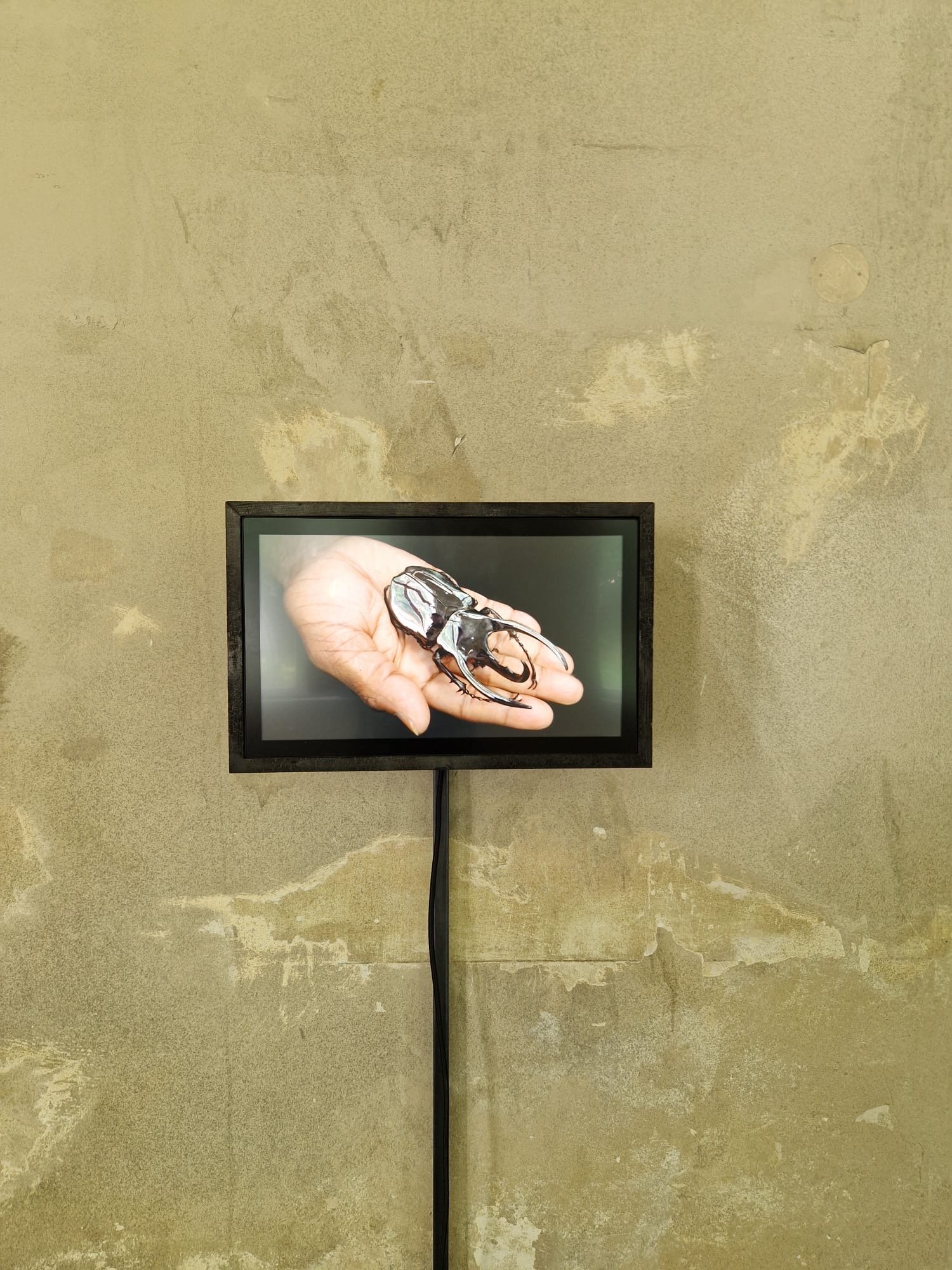 ART MONITOR
