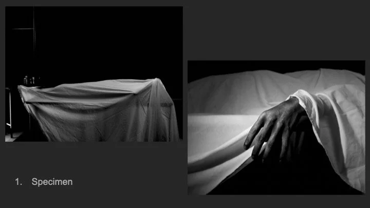 Portfolio_LucaClarke (dragged).jpg