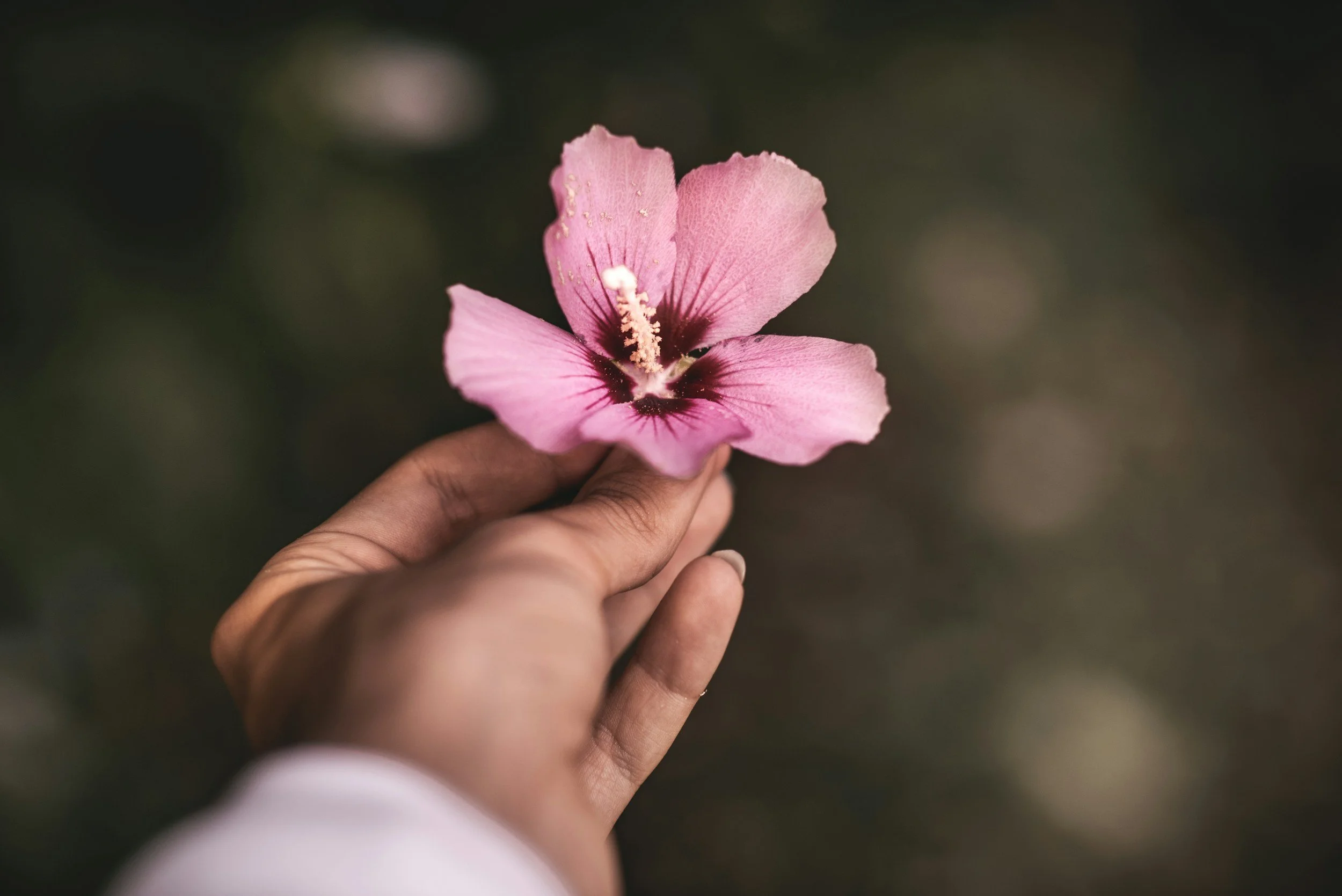 unsplash-image-snykaqJAP2Q.jpg