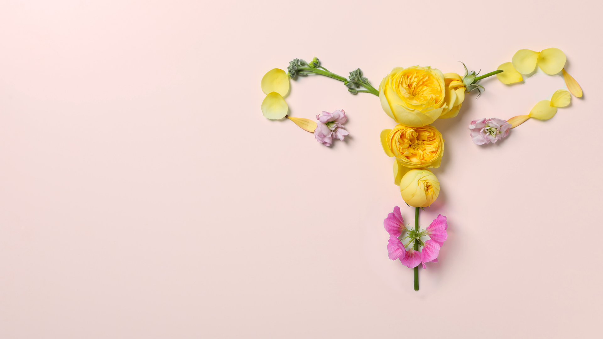 uterus fleurs.png