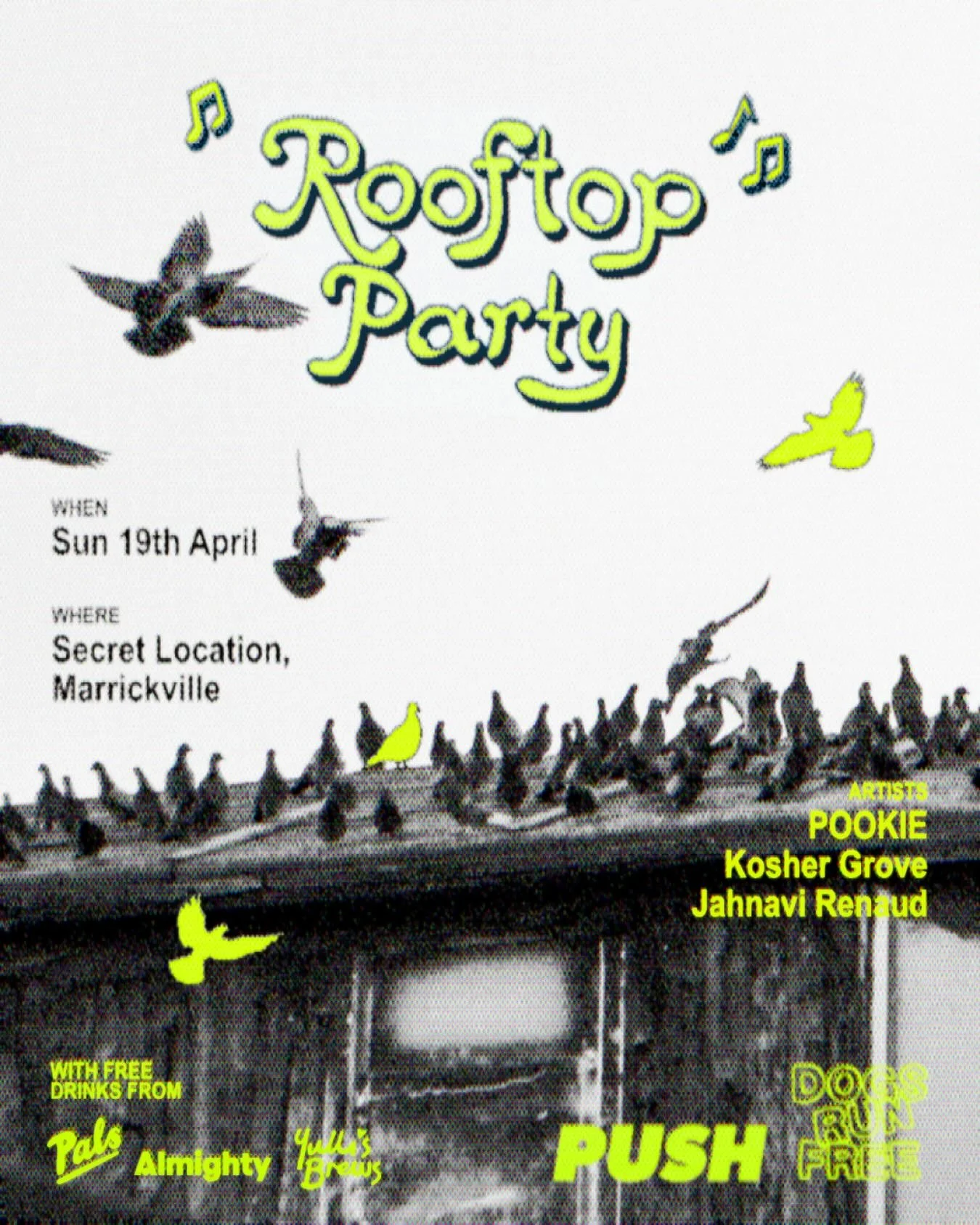 Marrickville rooftop party. A Sunday arvo soir&eacute;e. Live music in-the-round from @thereal_pookie @koshergroove &amp; @jahnavi_renaud. Free drinks provided by @yullisbrews @drink_pals &amp; @drinkalmighty. What more could you want really. Get you