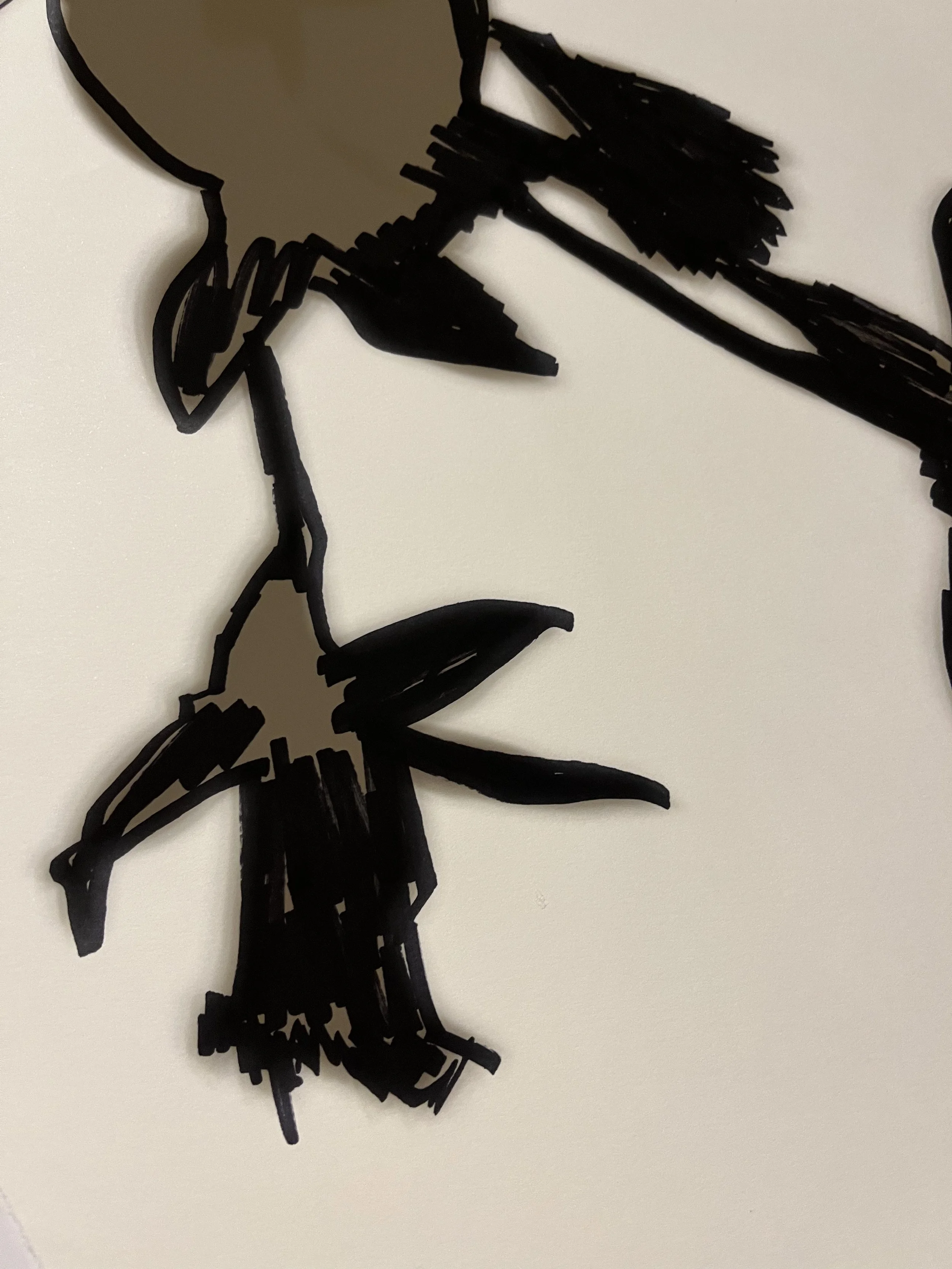 Black and white pen drawing of a daffodil's shadow on white paper. 
