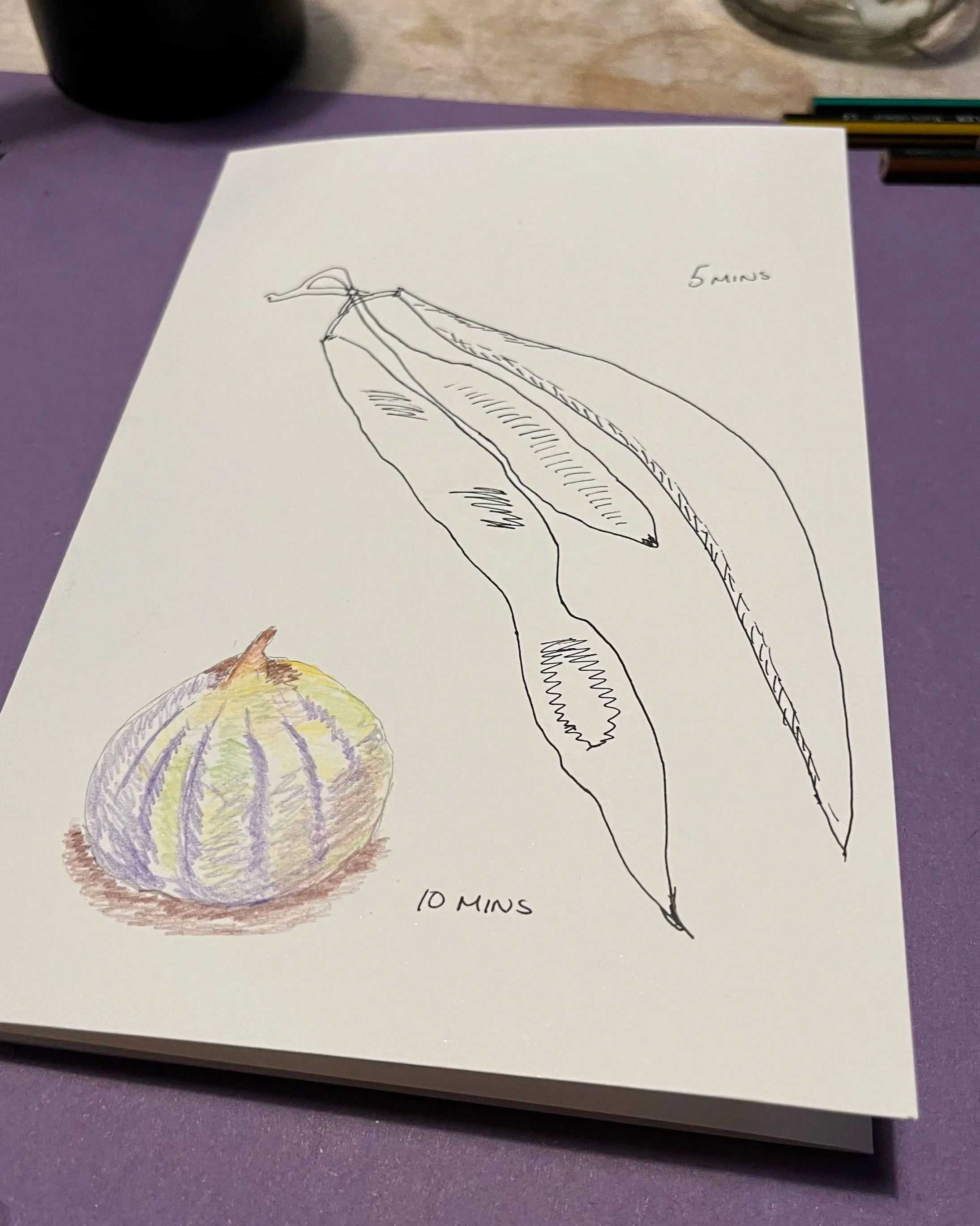 Two timed drawings, a runner bean captured in fine-liner and a fig in colour pencils.