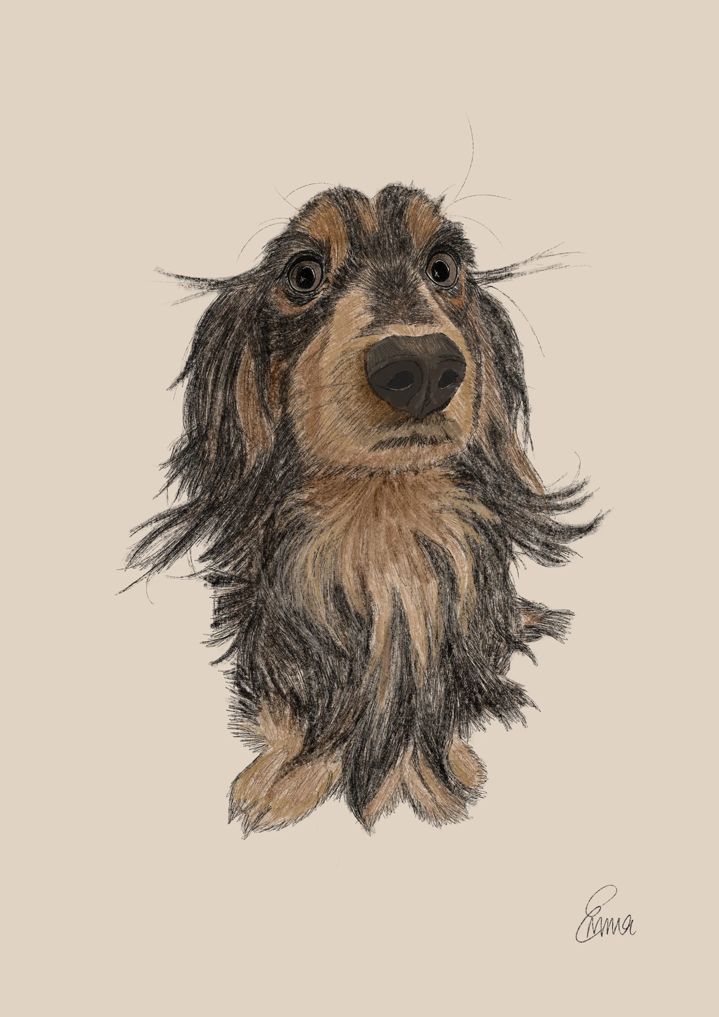 6B Pencil Procreate