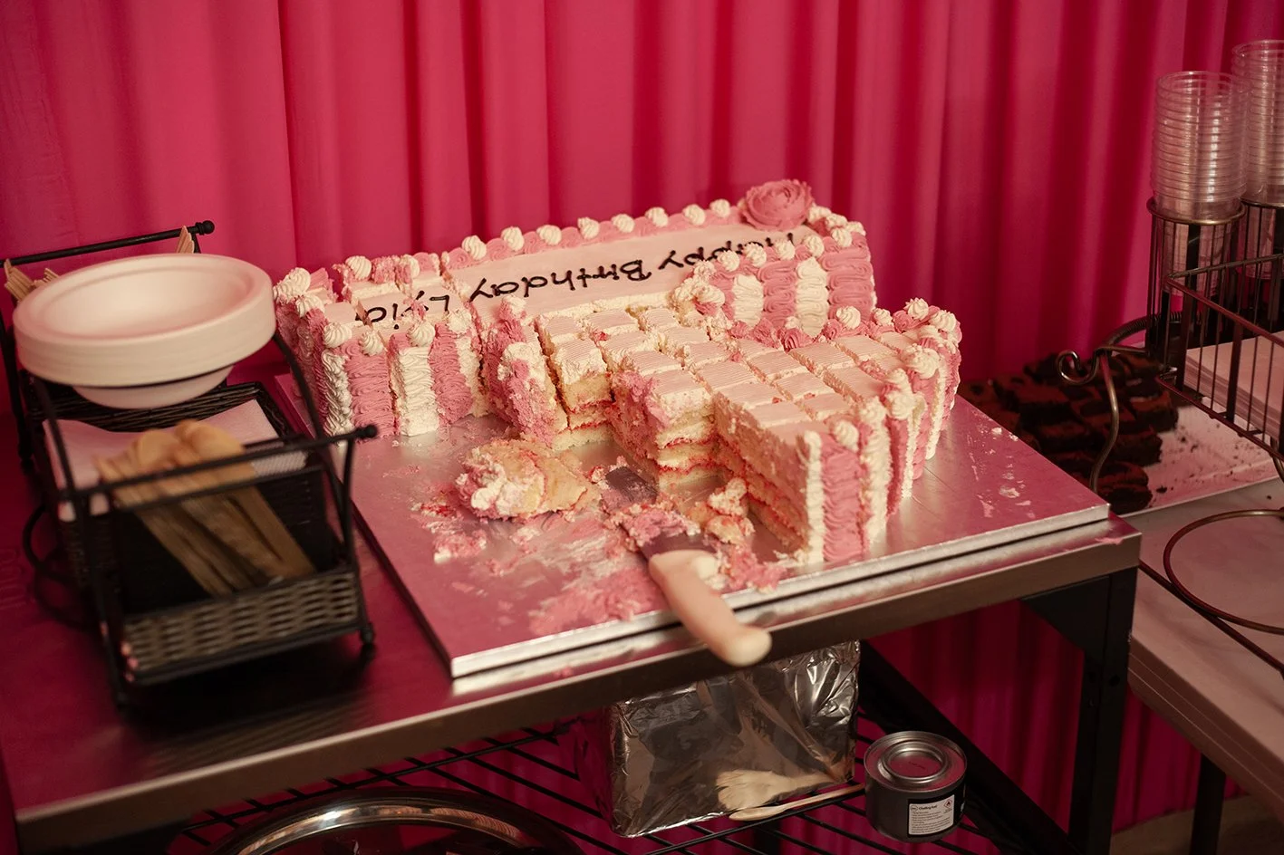 Lyla's Birthday party. The cake. Croydon. 2025.