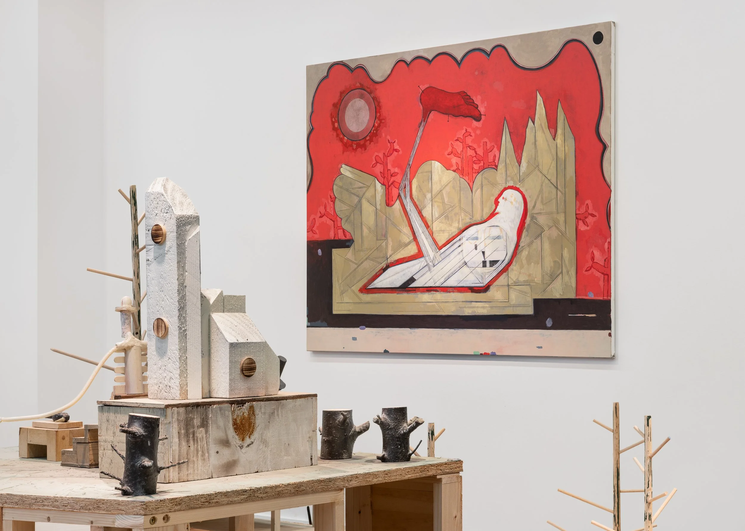 The Skiapod of Ballymaccus; installation view.
Photo: Jed Niezgoda