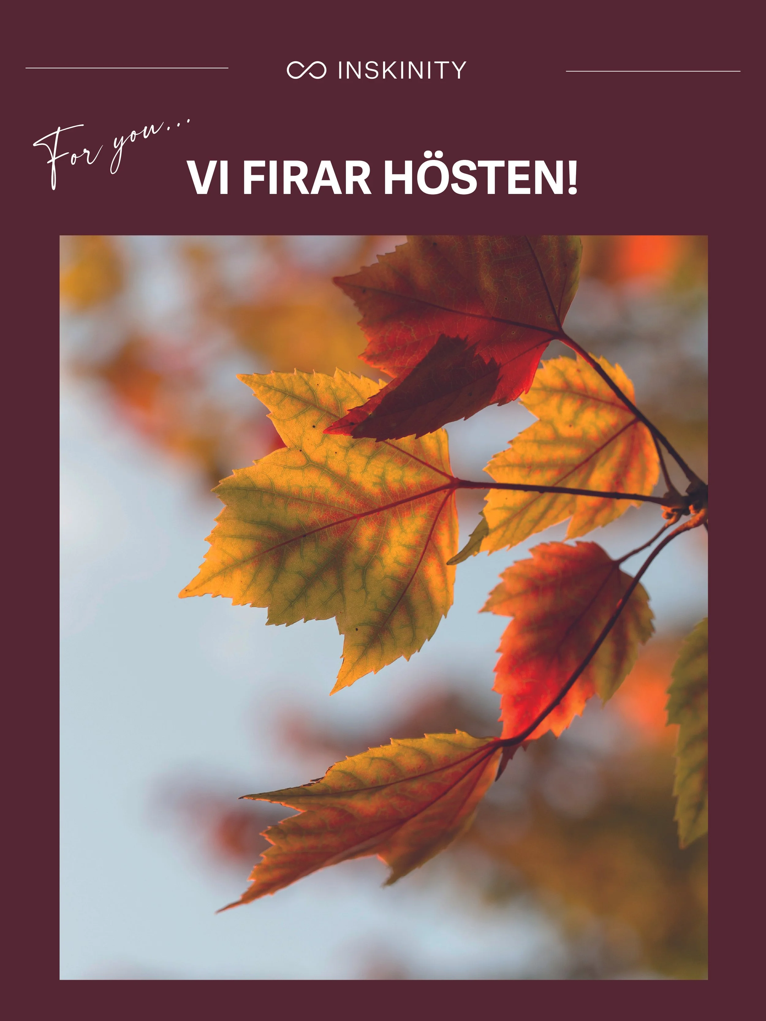 Vi firar hösten.jpg