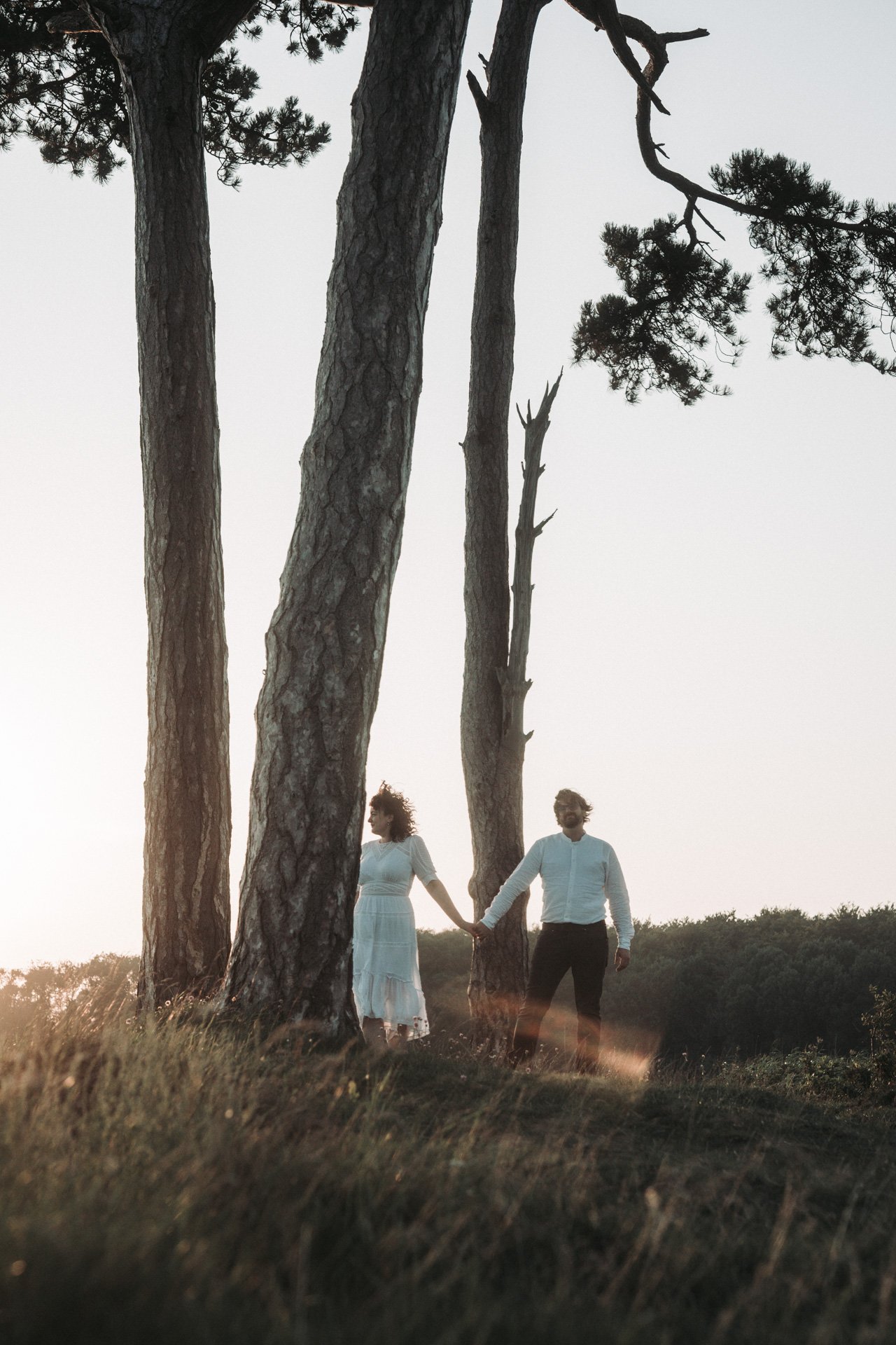 Ein Paar hält sich an den Händen, steht zwischen großen Bäumen auf einer Wiese, bei Sonnenuntergang, romantische Stimmung.