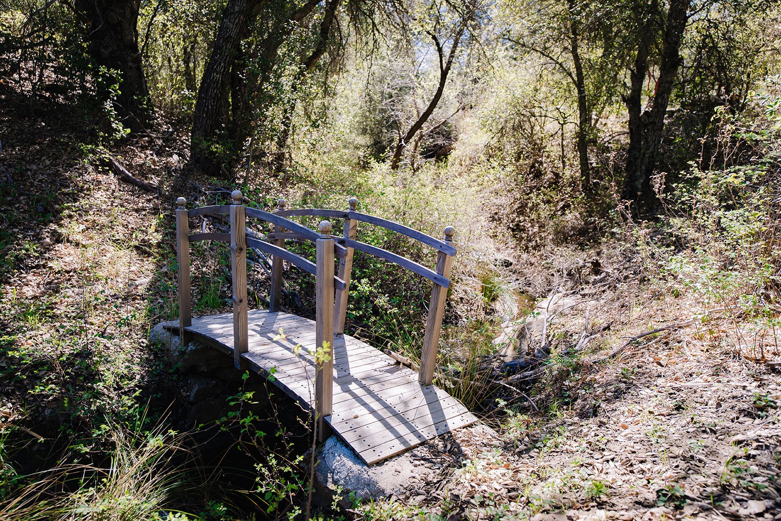 Sweet Musical Seasonal Creek