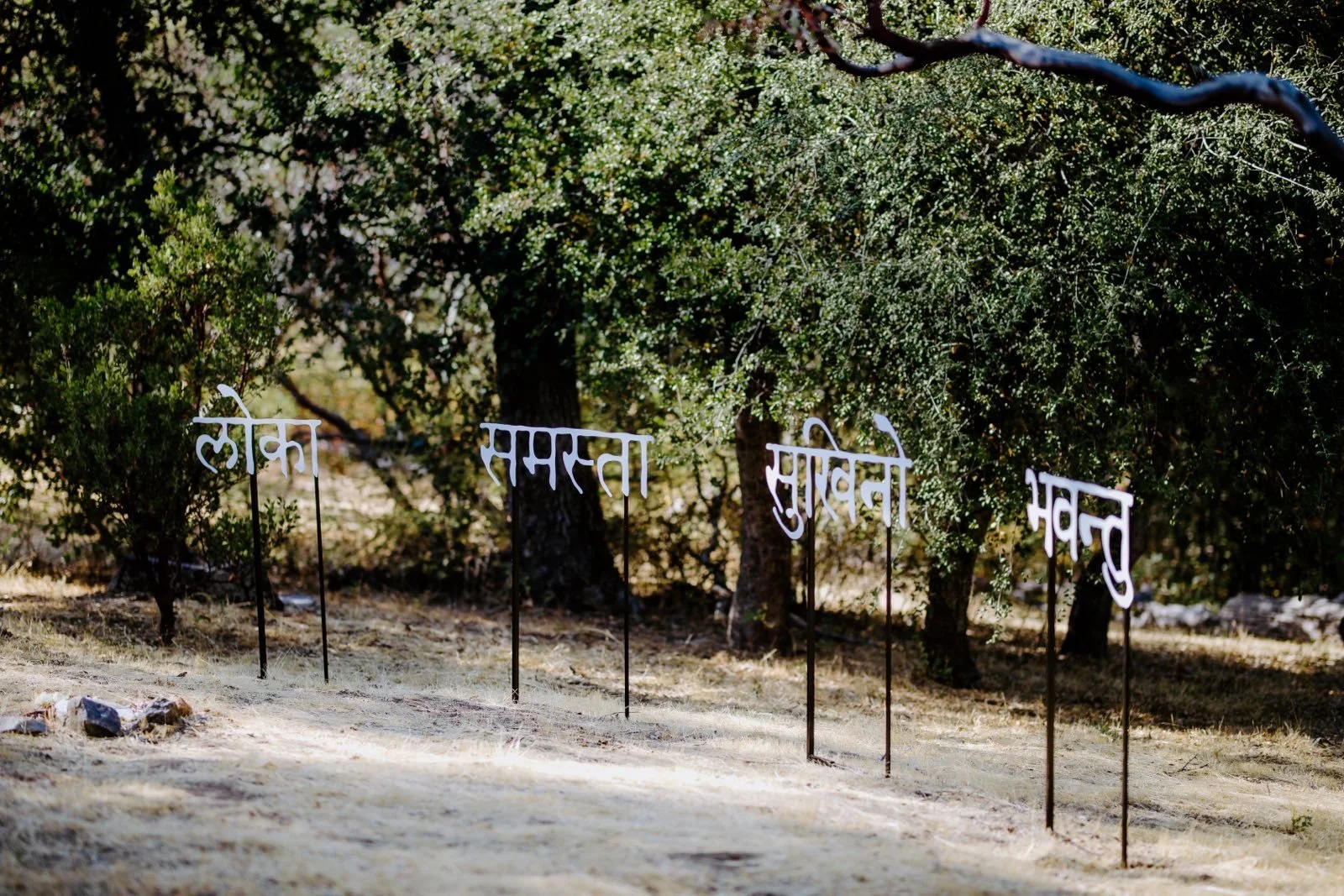 "May all beings everywhere be happy and free." prayer in Sanskrit.