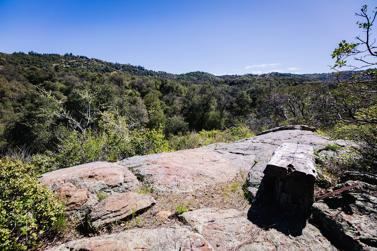 Elevated View of Valley
