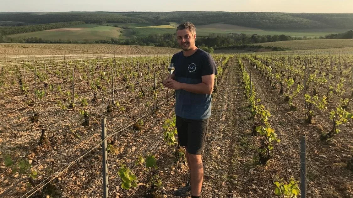 bardiau-champagne-vignes