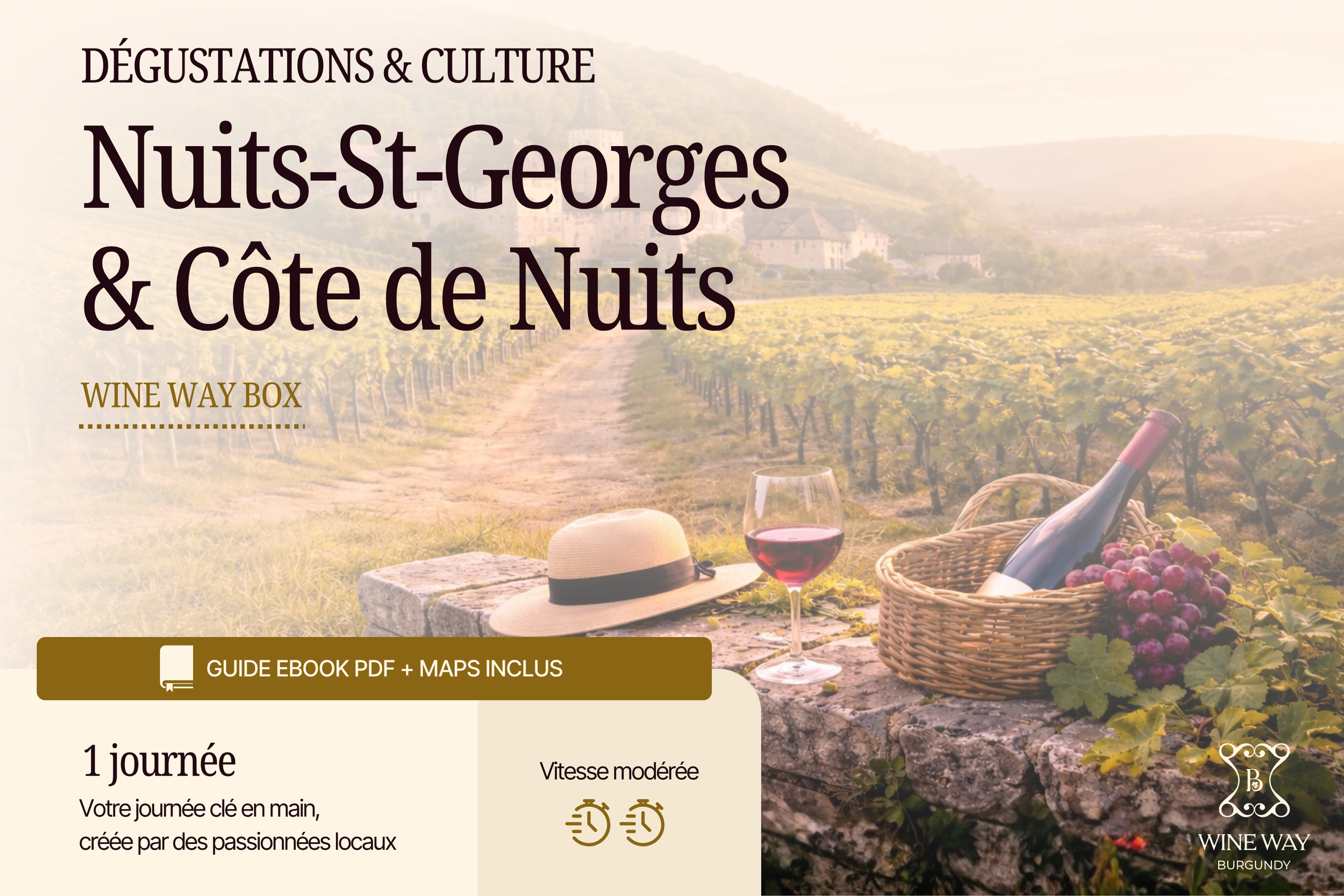 01_WWBox_NUITS+Cote-de-Nuits.png