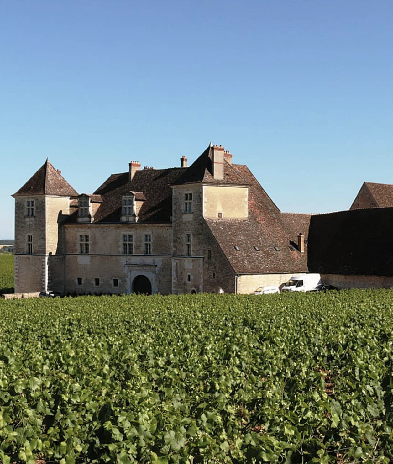 Un vieux château en pierre avec un toit en tuiles rouges, entouré d'un champ de vignes verts sous un ciel bleu clair.