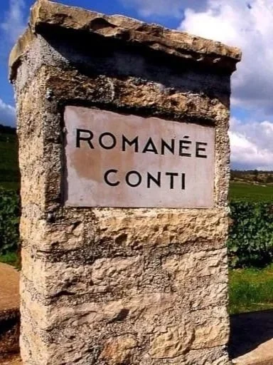 Panneau en pierre avec l'inscription 'Romée Conti' sur toile de fond de campagne.