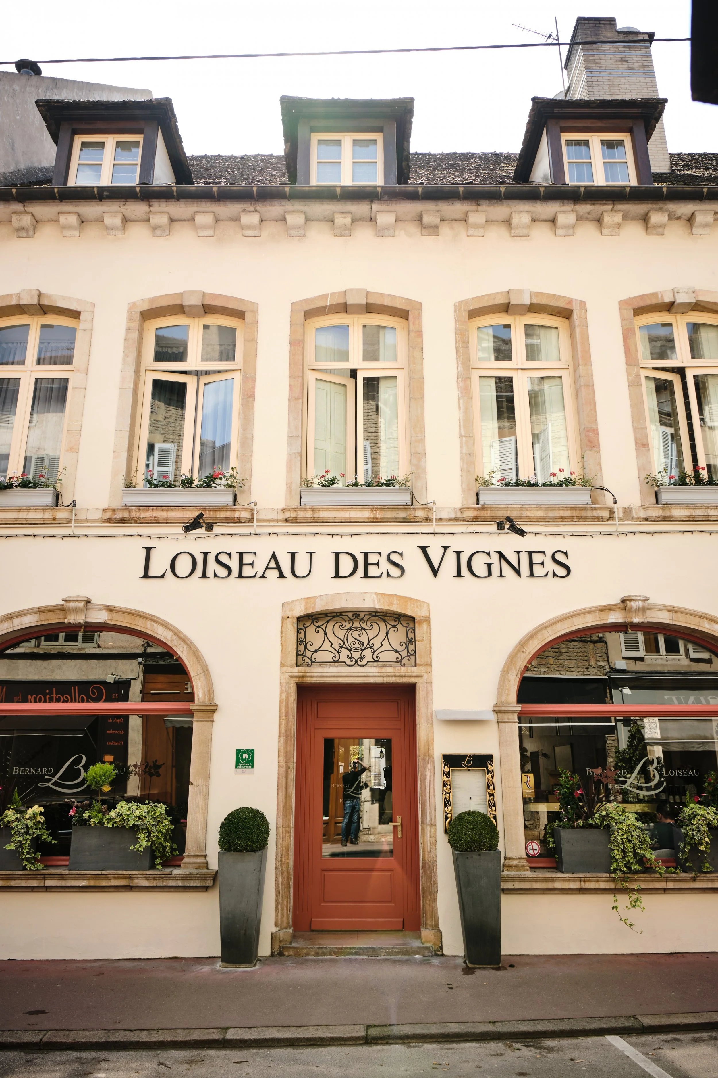 Façade d’un bâtiment avec le nom 'Loiseau des Vignes' au-dessus de la porte d’entrée, plusieurs fenêtres avec volets et fleurs, décorations extérieures, deux grands pots avec des arbustes près de l’entrée.