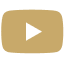YouTube gold 64x64px.png
