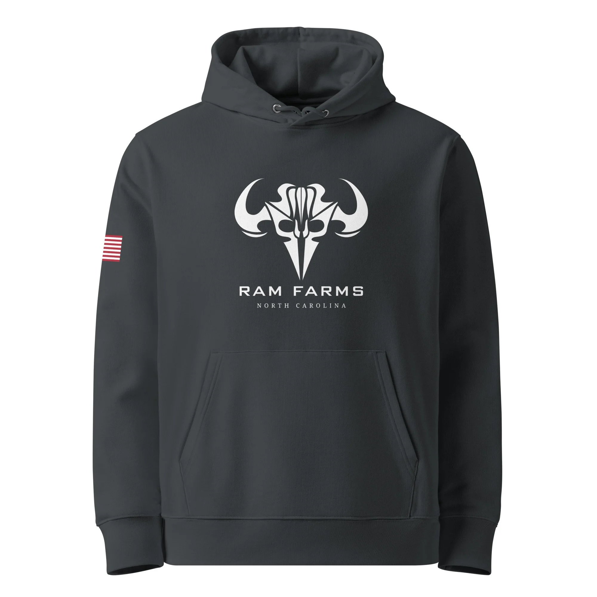 unisex-essential-organic-hoodie-india-ink-grey-front-67e6c1561a922.jpg