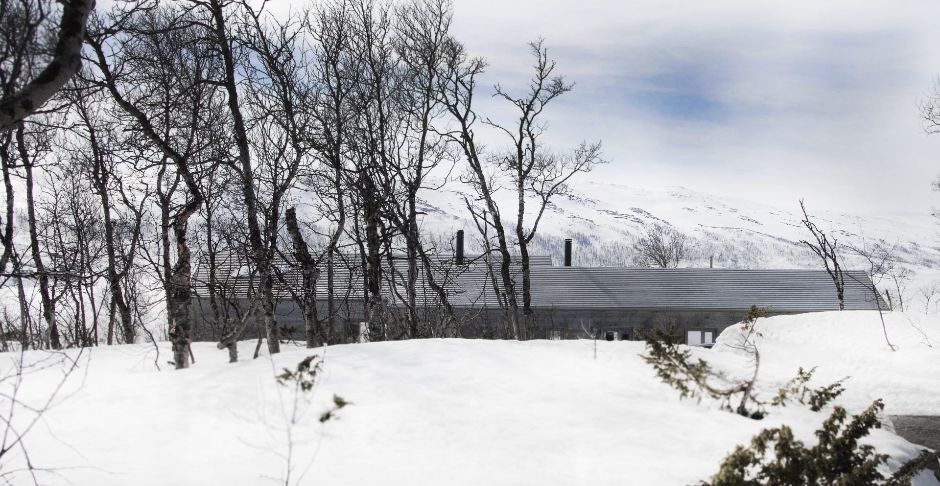 Hytte-Haugastøl-bakside-1920x993.jpg