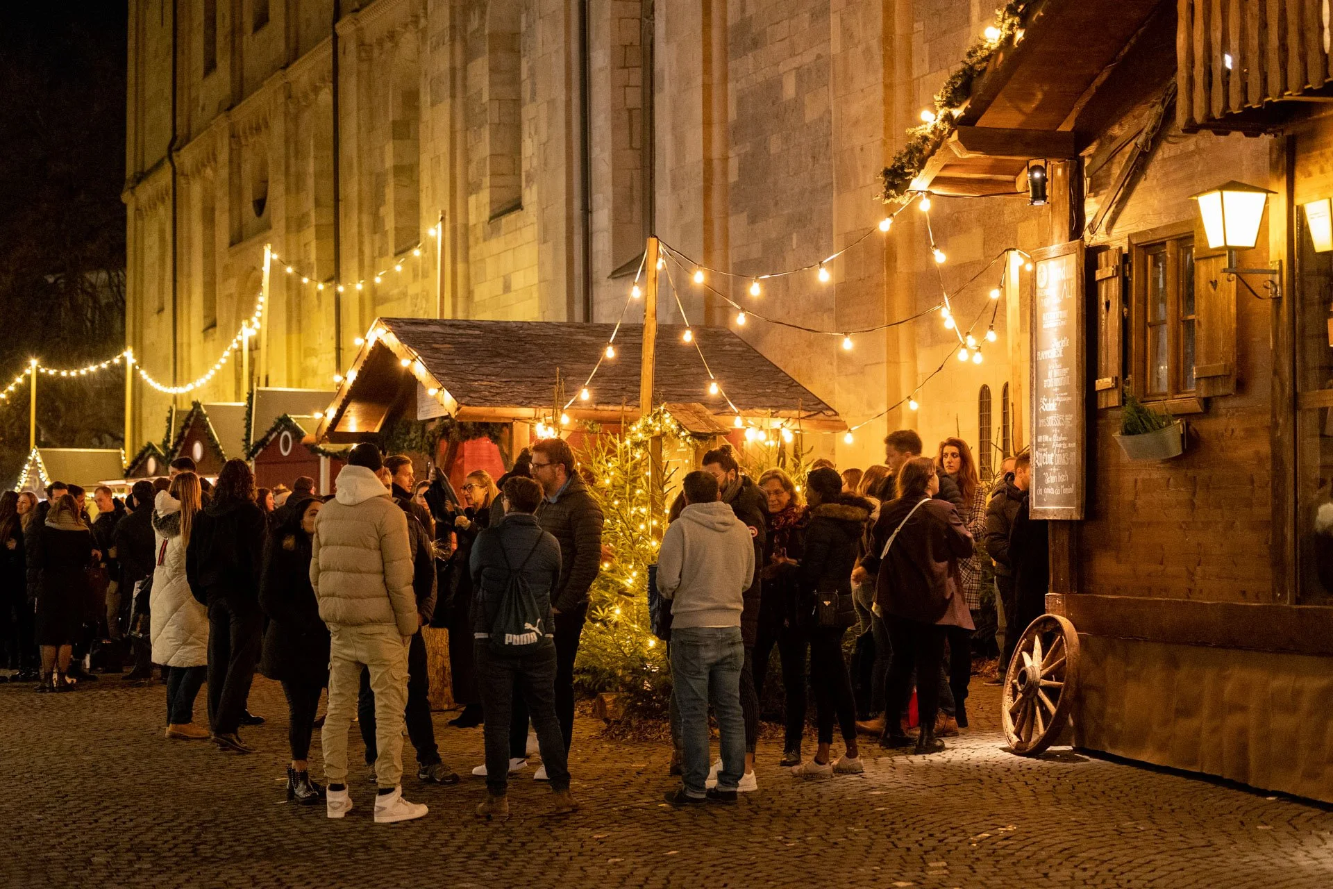 FondueAlp_Wintergarten_346 (1).jpeg