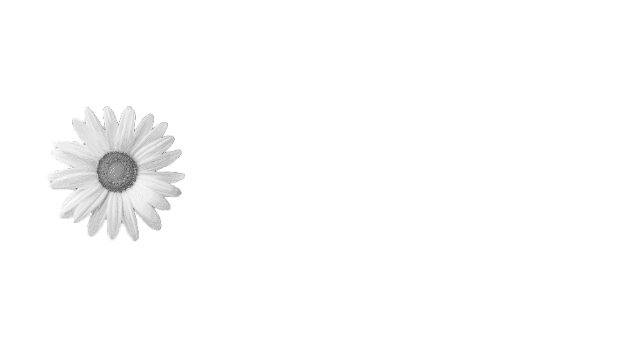 Logo mit einer weißen Margeritenblume und dem Text 'Imlenia' vor schwarzem Hintergrund.