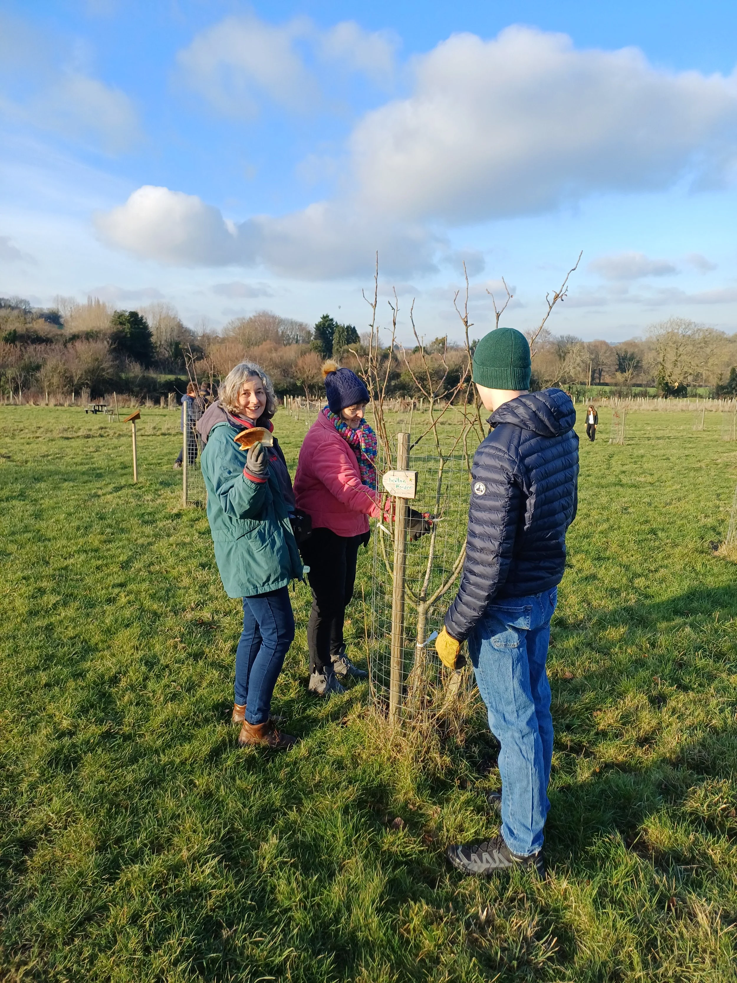 Volunteer pruning 1.jpg