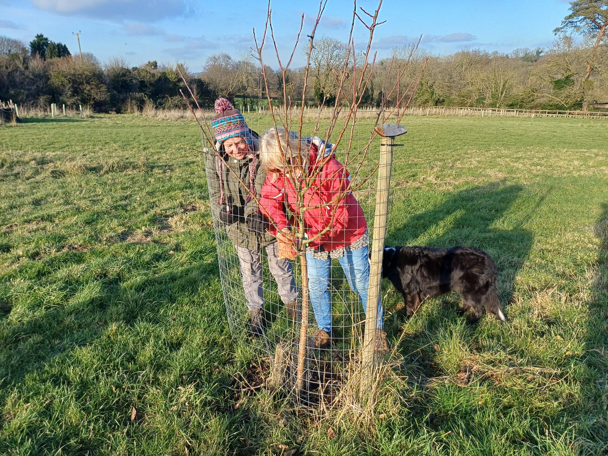 Volunteer prunning 2.jpg