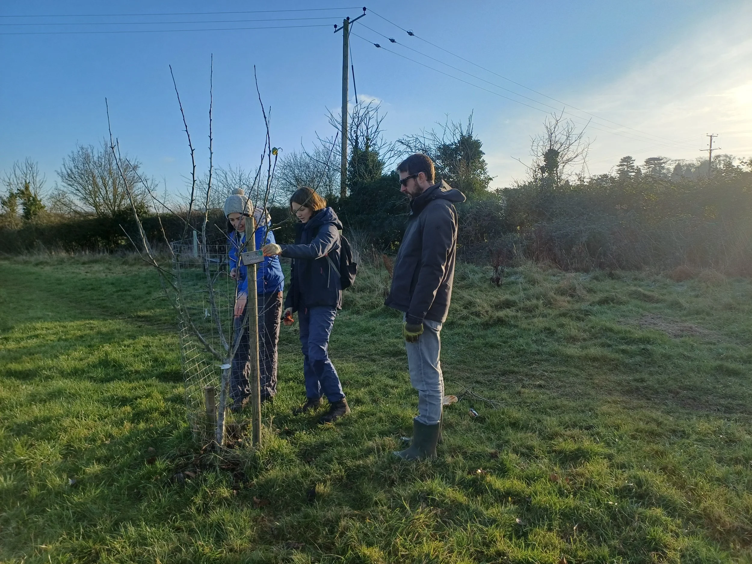 Volunteer prunning 4.jpg
