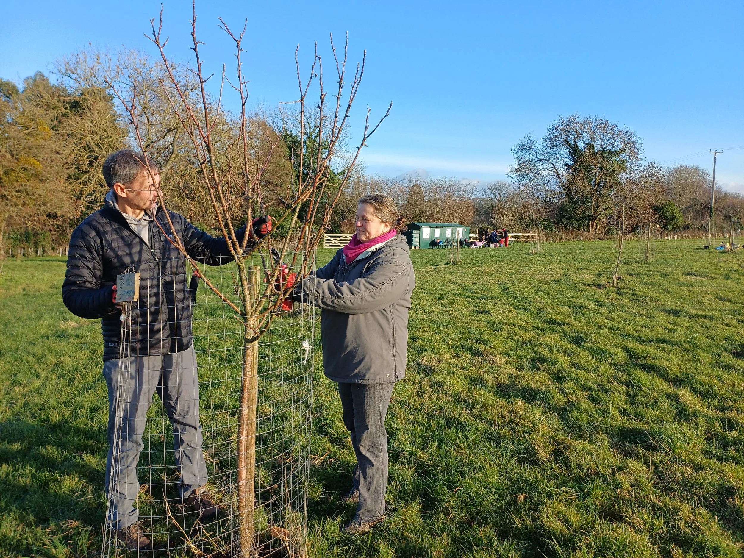 Volunteer prunning 3.jpg