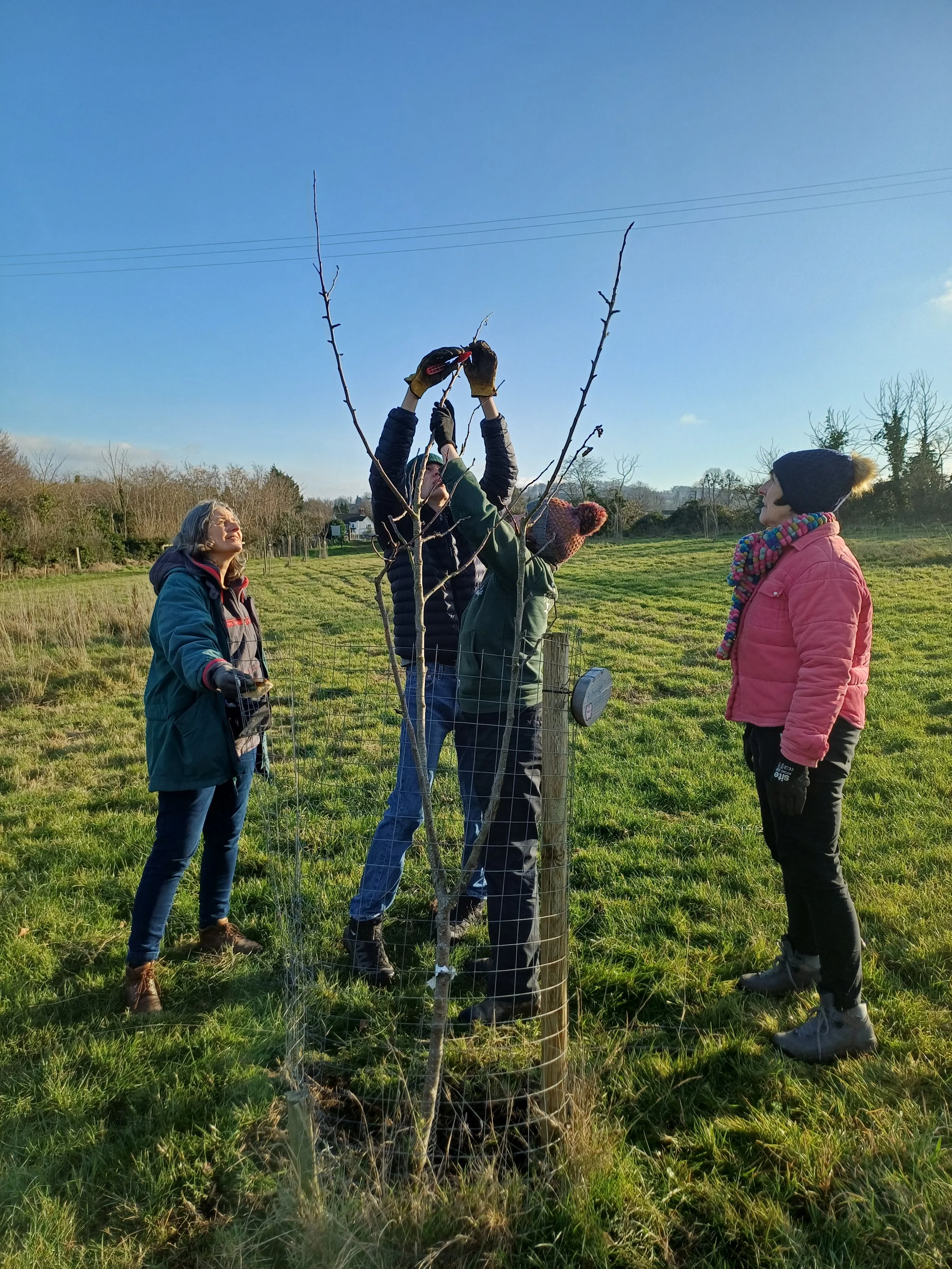 Volunteer prunning 5.jpg