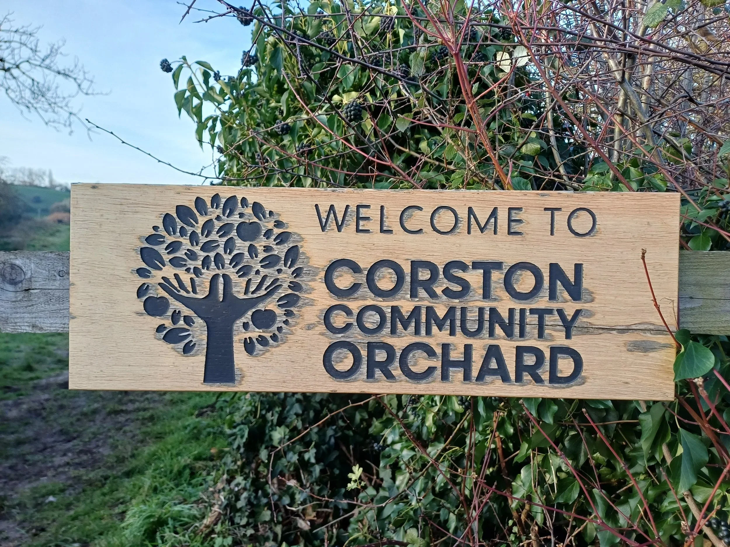BWCE Fund focus: Corston Community Orchard