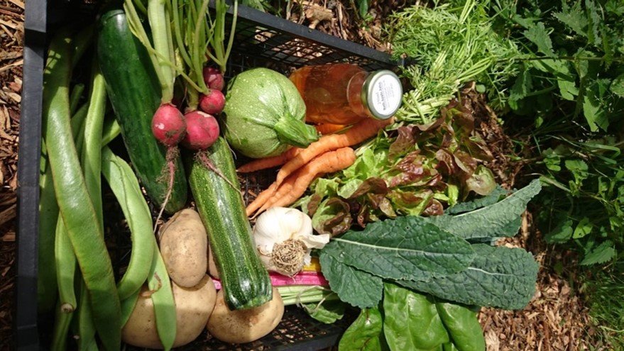 Middle Ground Growers 3.jpg