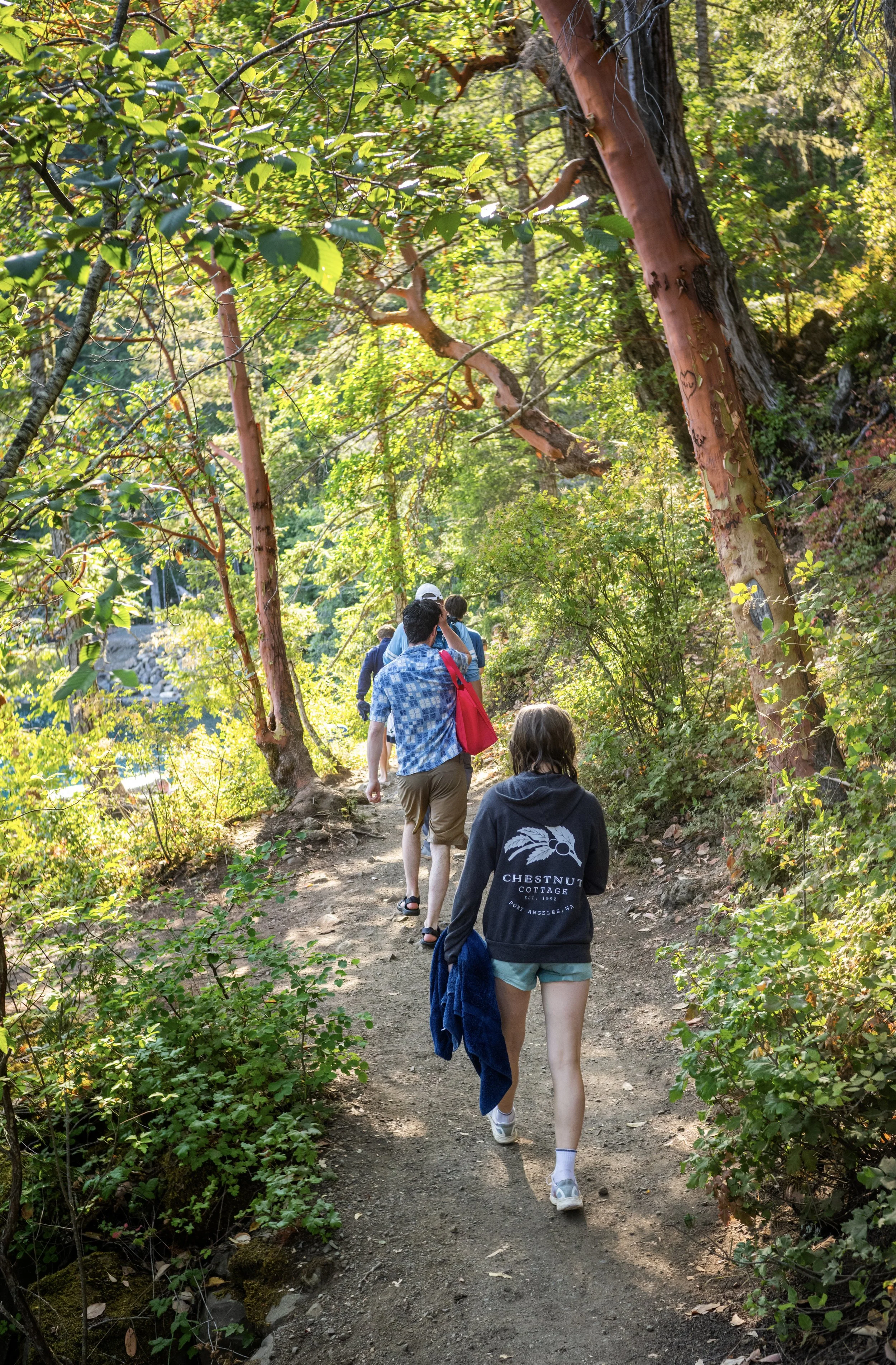 People hiking on a wooded trail surrounded by trees with green foliage in sunlight.