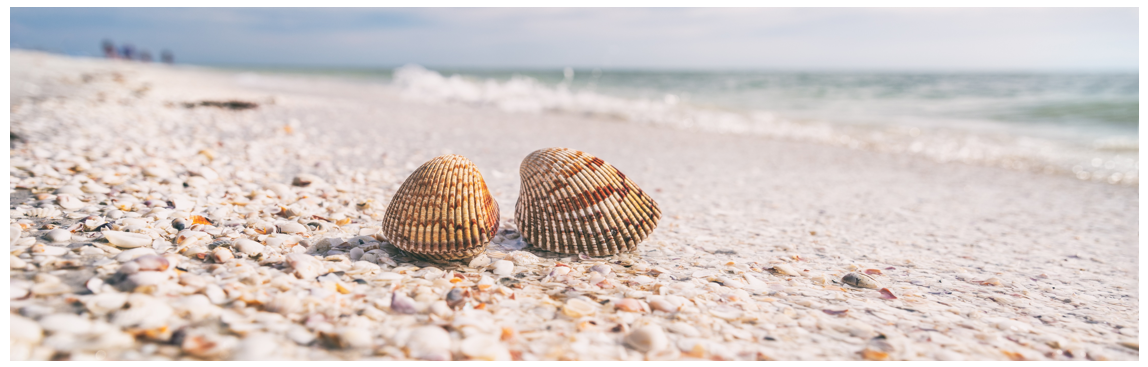 Membership image.png