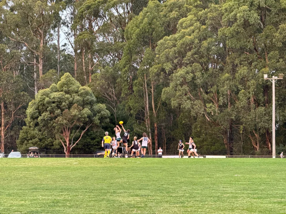 Kinglake junior players playing Australian rules football on a grassy field surrounded by trees, with some spectators and a golf cart in the background.