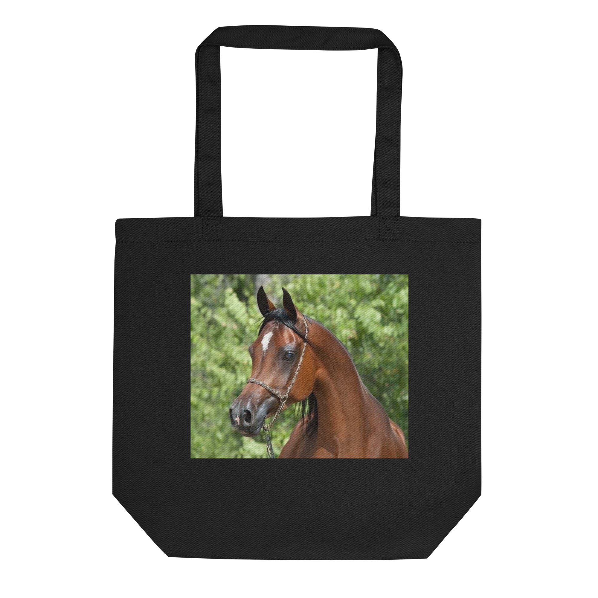 eco-tote-bag-black-front-69861bf6f1f5a.jpg