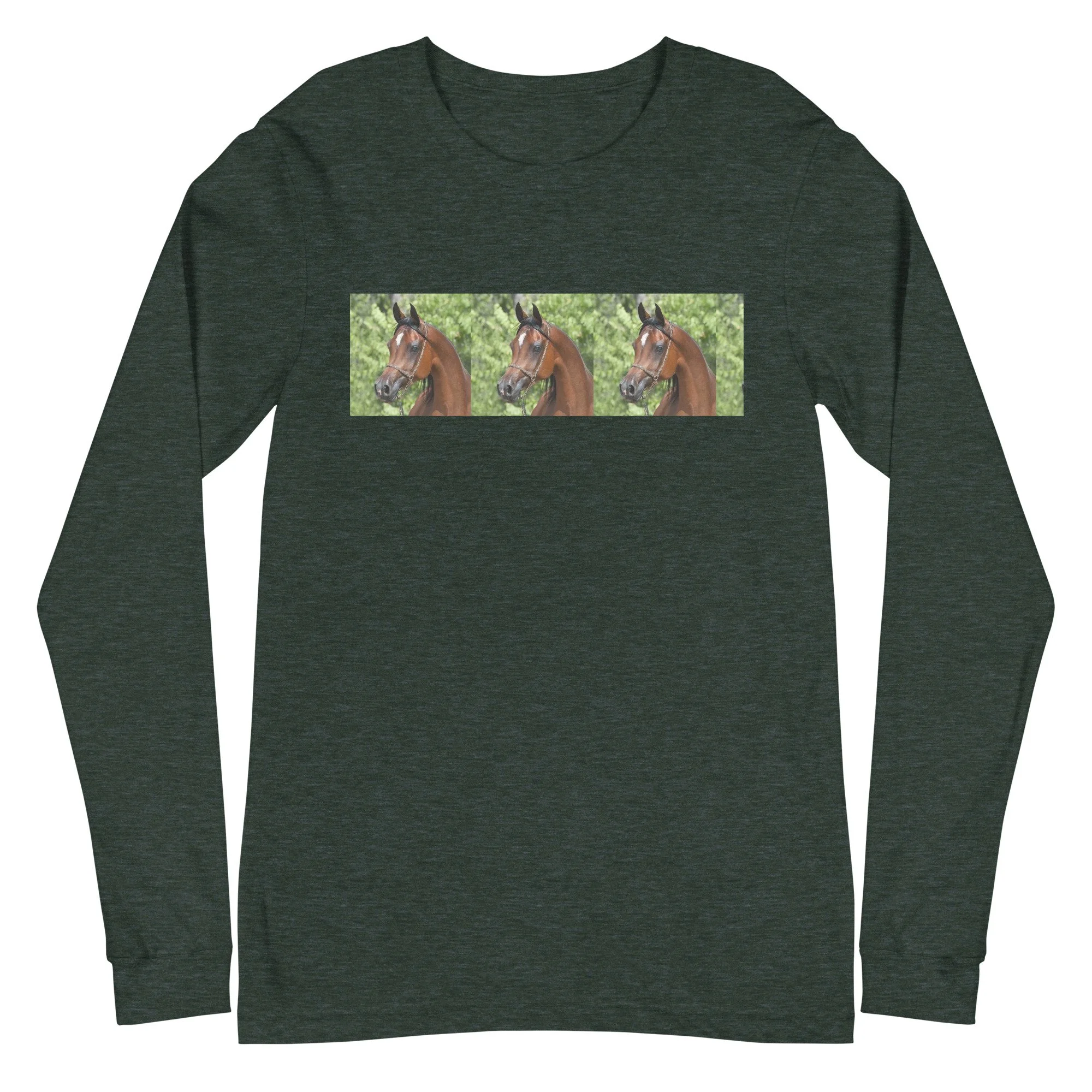 Unisex Long Sleeve Tee | Bella + Canvas 3501