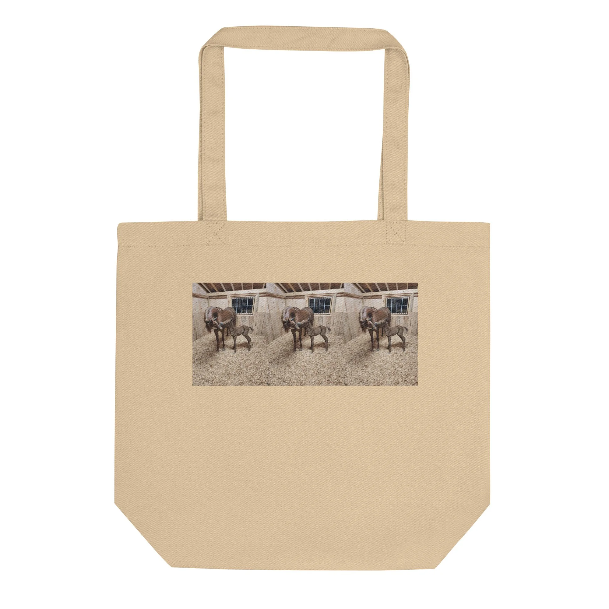 eco-tote-bag-oyster-front-698a4e5bd5b6a.jpg