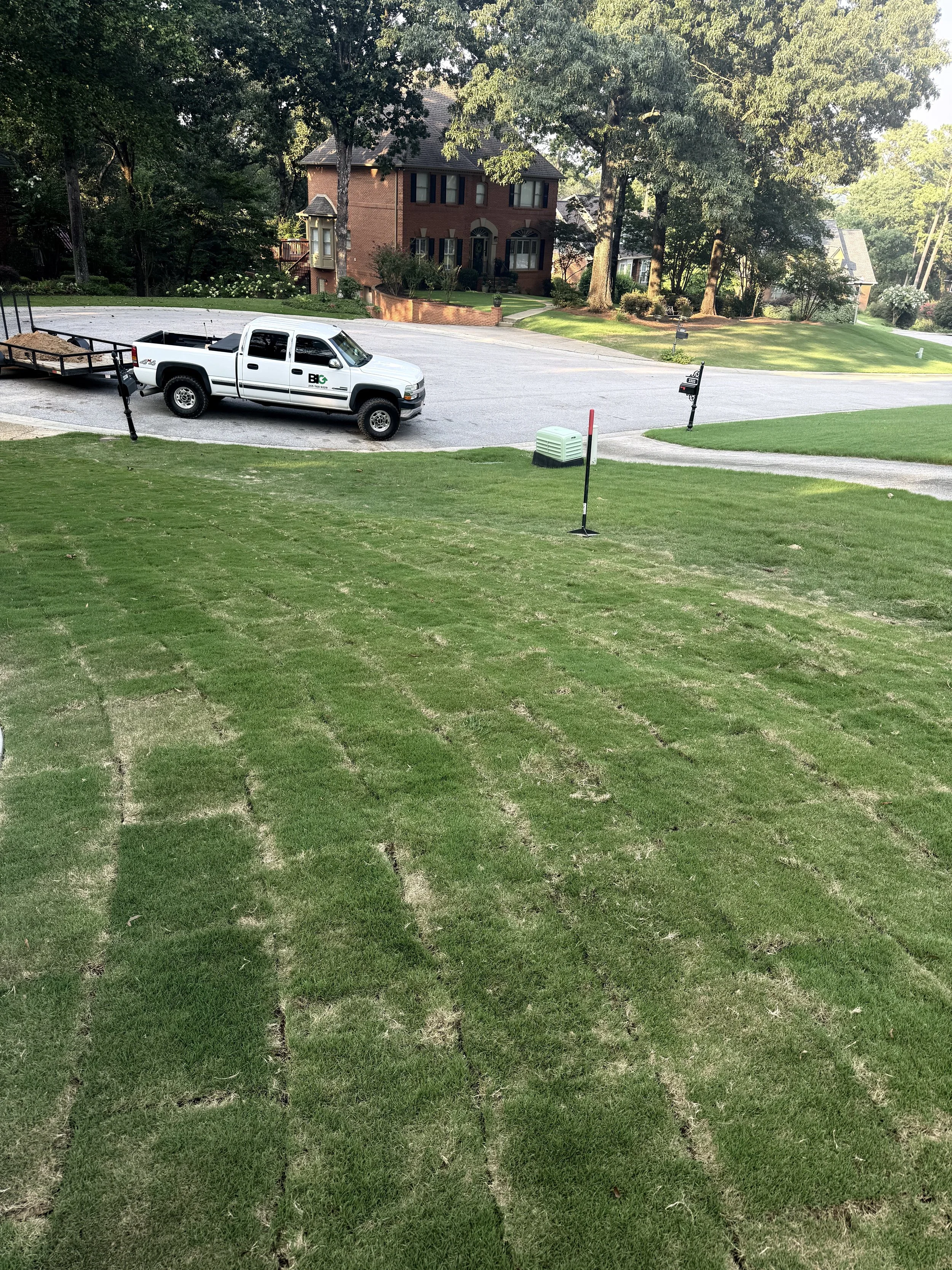Bermuda Sod- Brook Highland