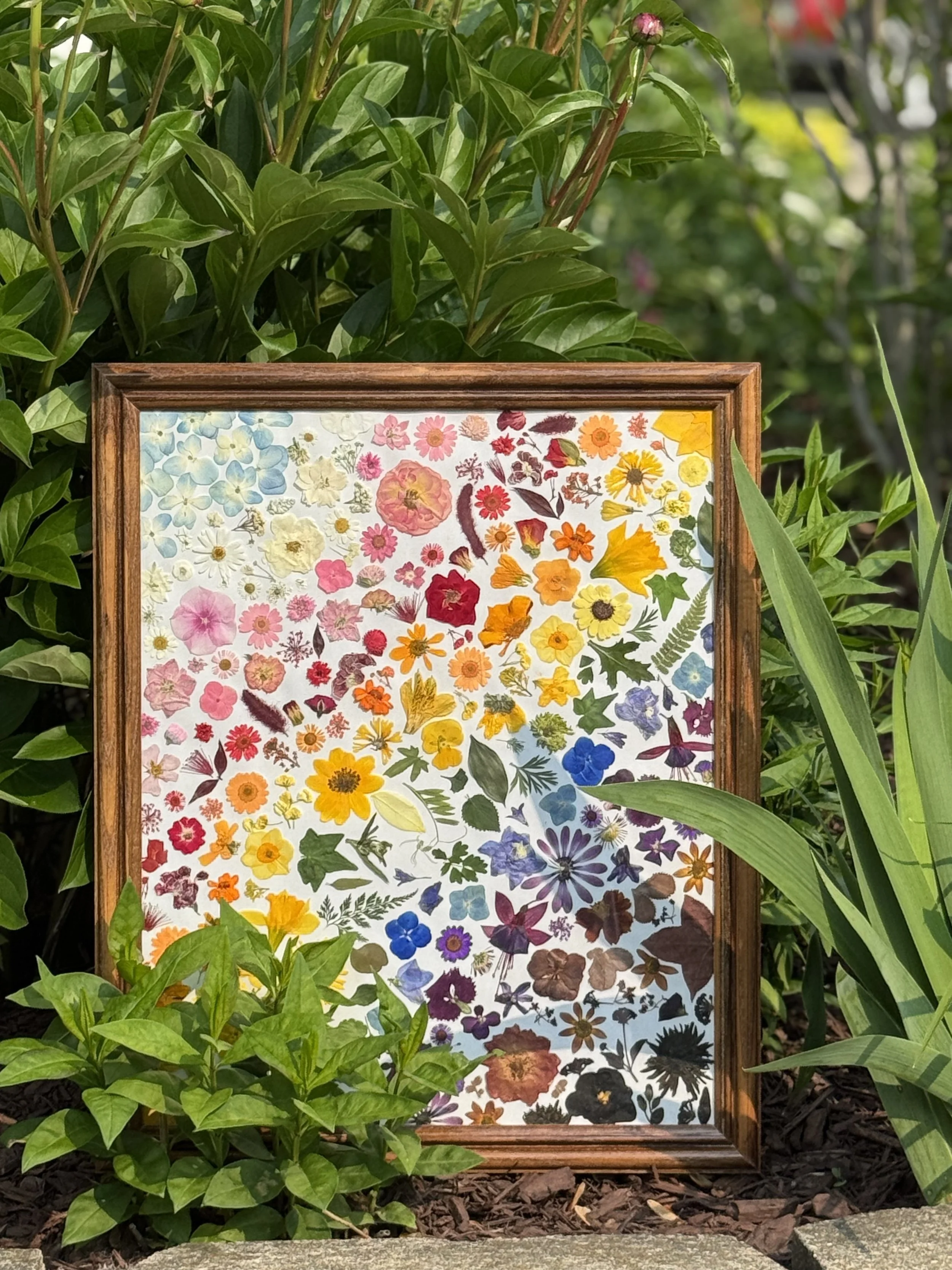 A framed collage of pressed colorful flowers and leaves leaning against greenery in a garden.