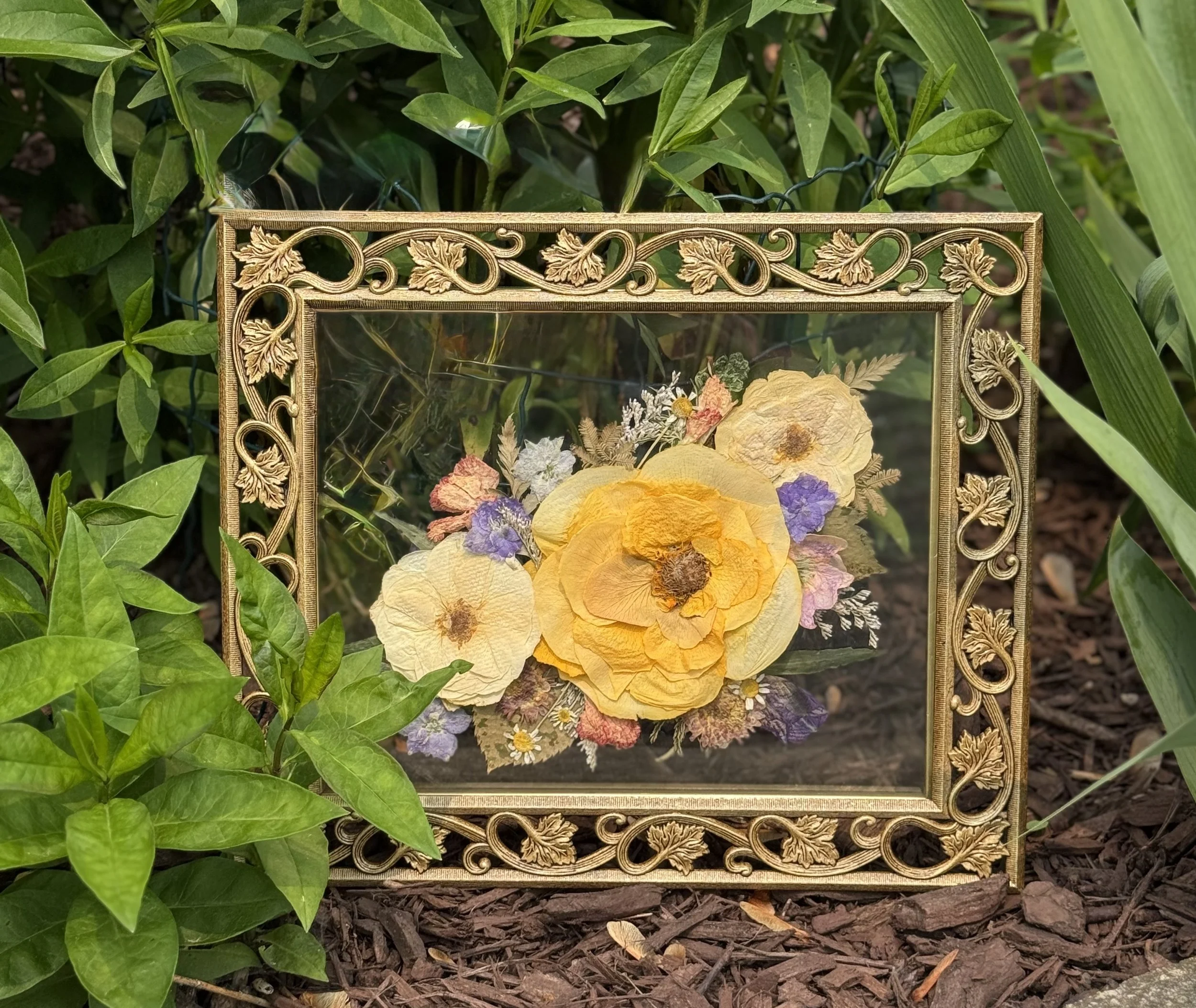 A framed pressed flower art piece featuring yellow, white, purple, and pink flowers, placed on mulch among green garden plants.