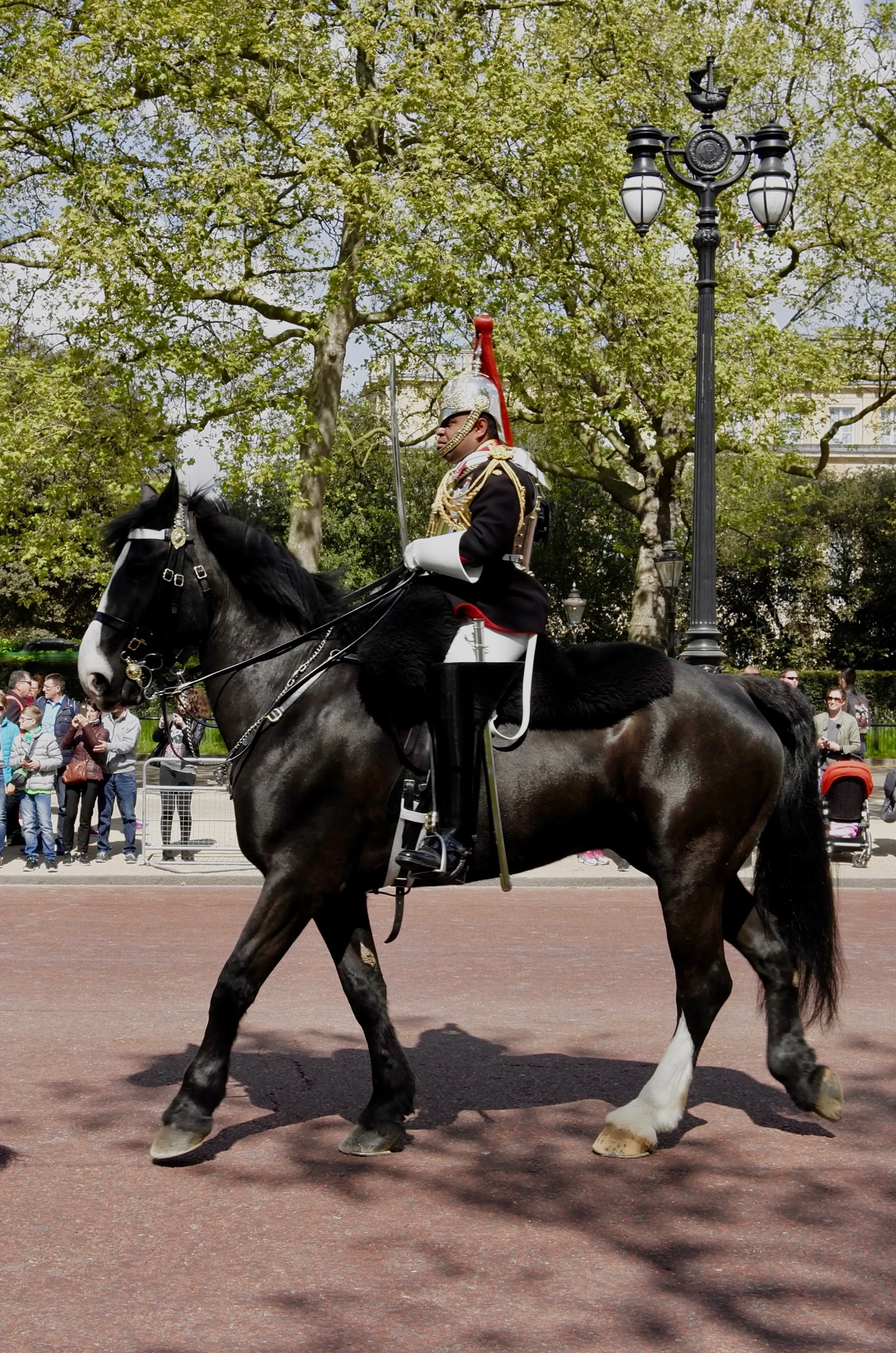A soldier on The Mall in London in formal uniform and helmet riding a black and white horse in a parade, with spectators and large trees in the background.