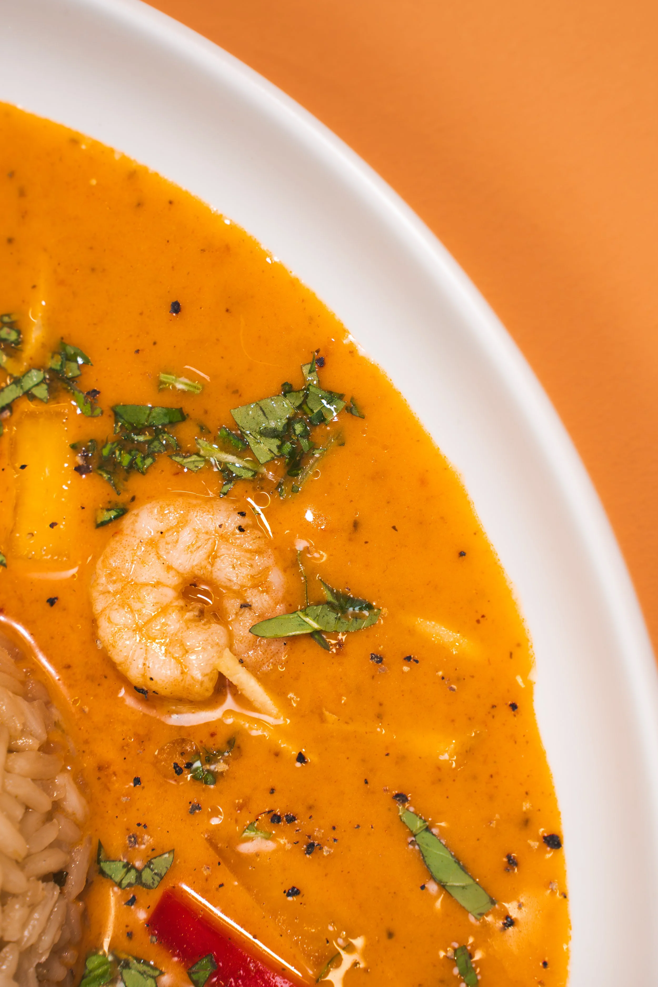 Tilda _ Summer 2025 Product Launches-299.jpg