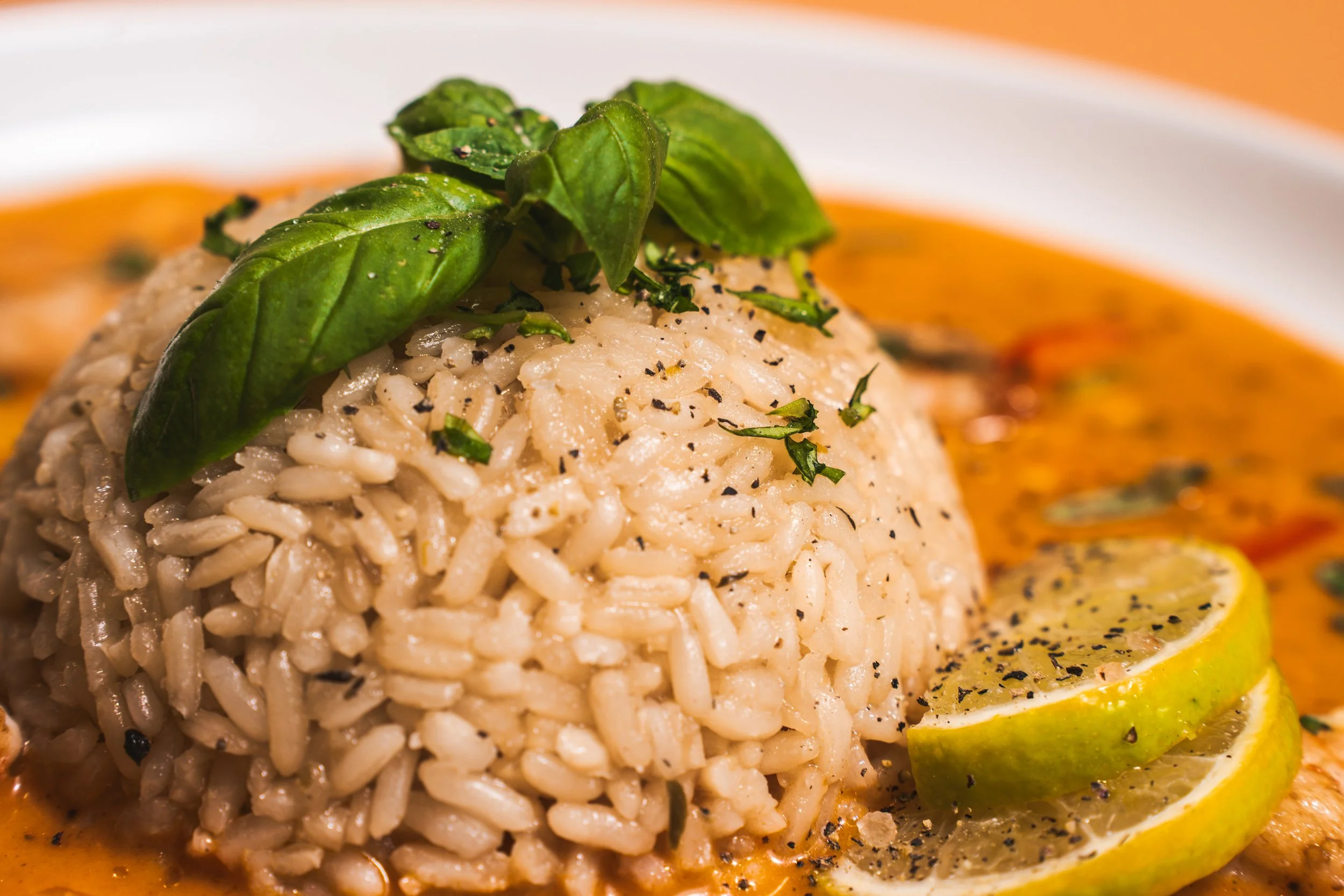 Tilda _ Summer 2025 Product Launches-297.jpg