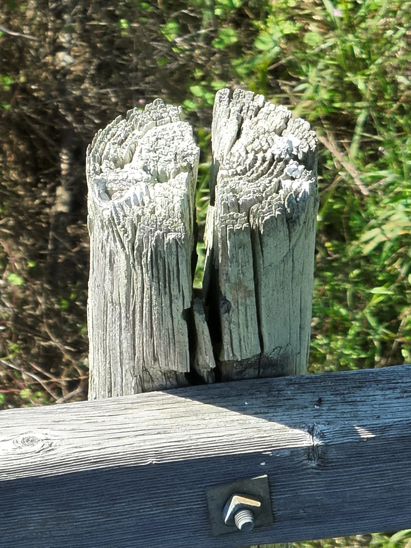Cracked wooden fence post with bolt