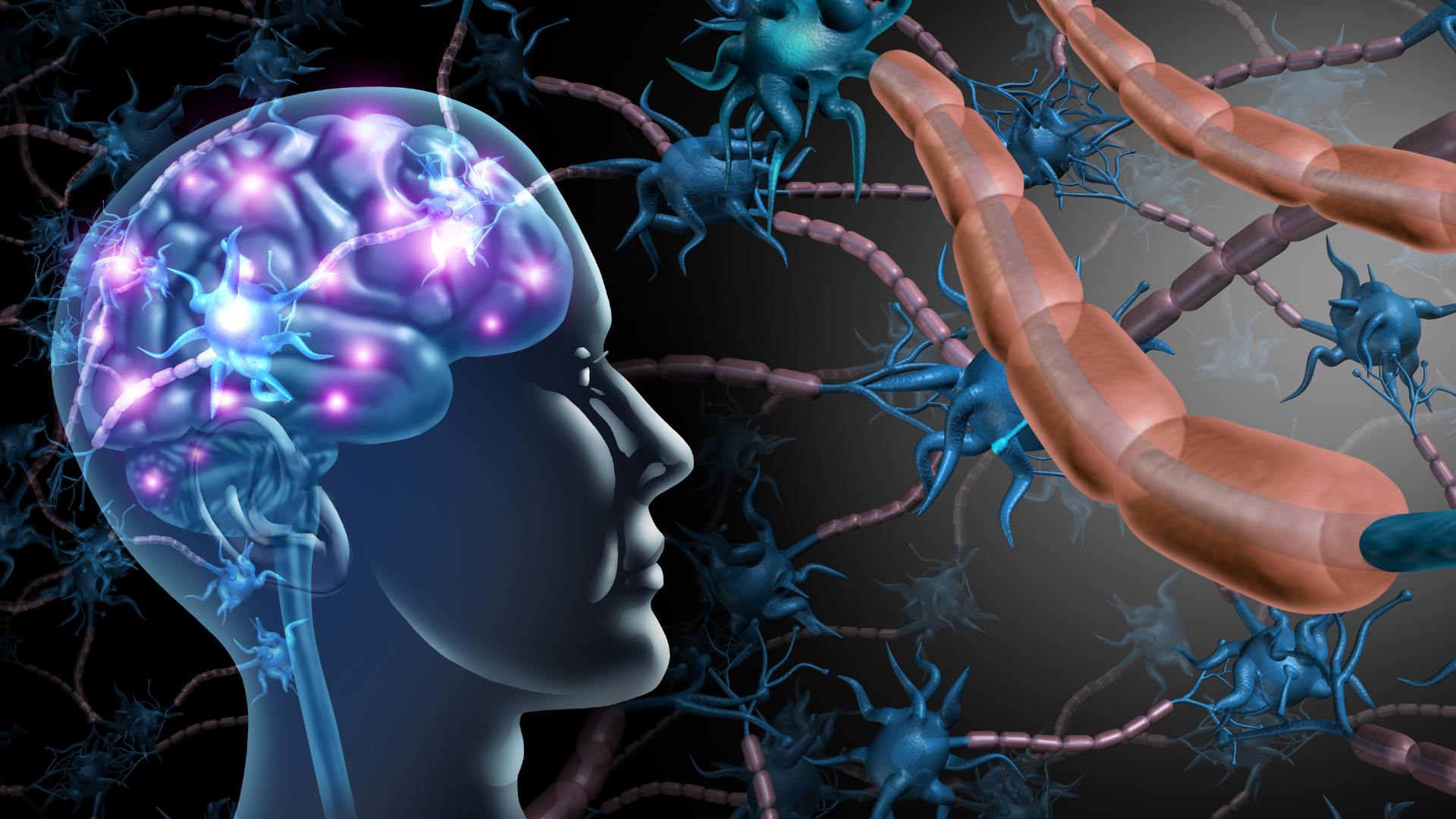 Neuroplasticity After Stroke: Why Recovery Doesn't Have an Expiration Date