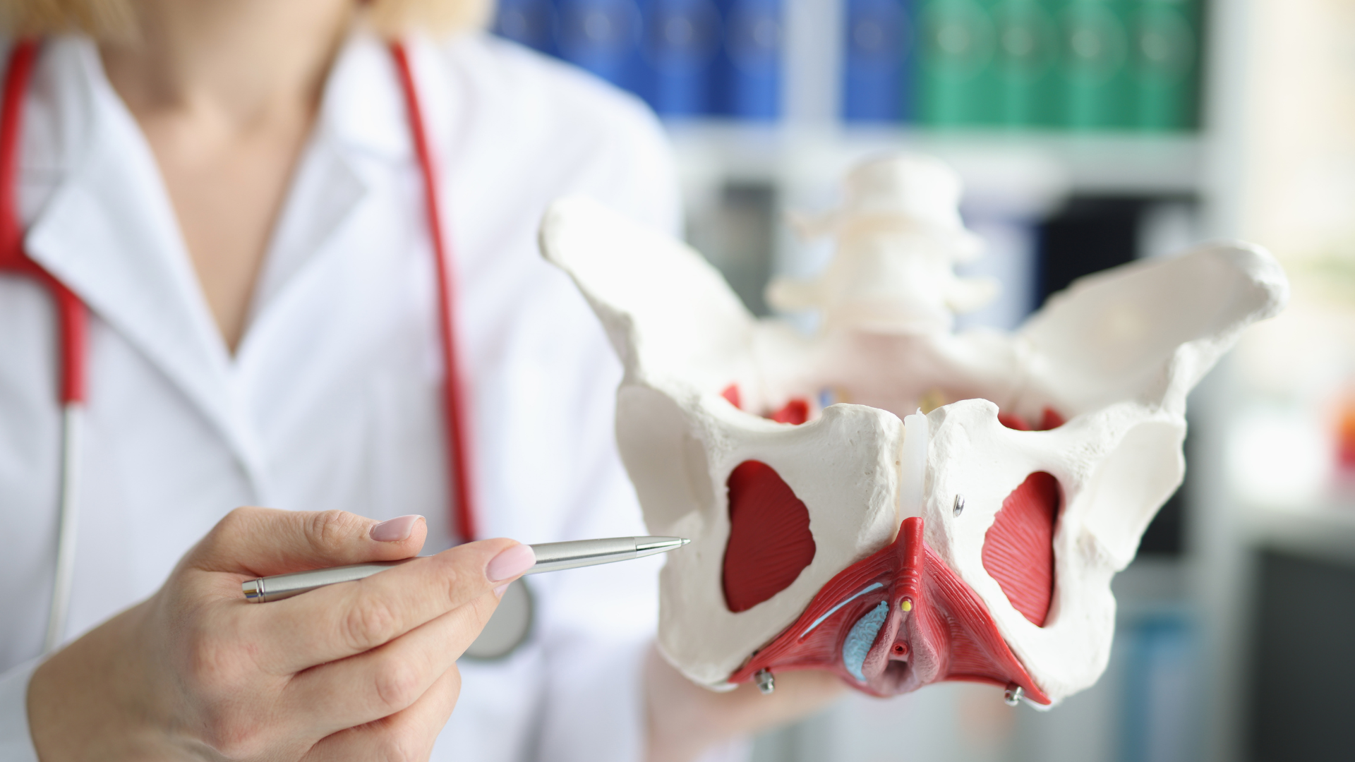 Overactive vs. Underactive Pelvic Floor: Why Getting the Diagnosis Right Changes Everything