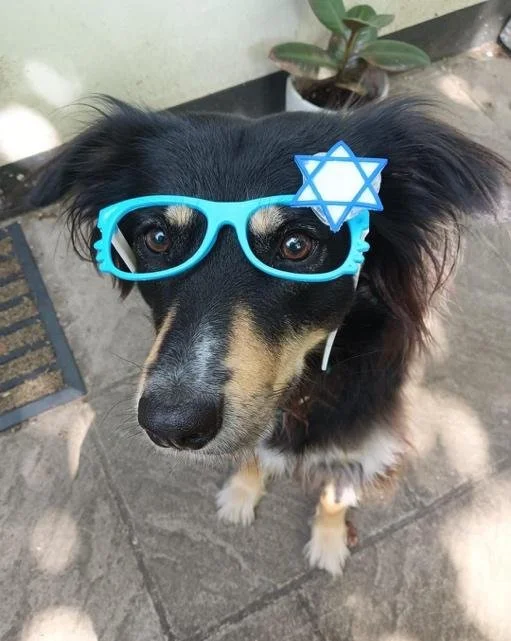 Who Is This Random Israeli Who Suddenly Appeared at My FZY Shabbaton??